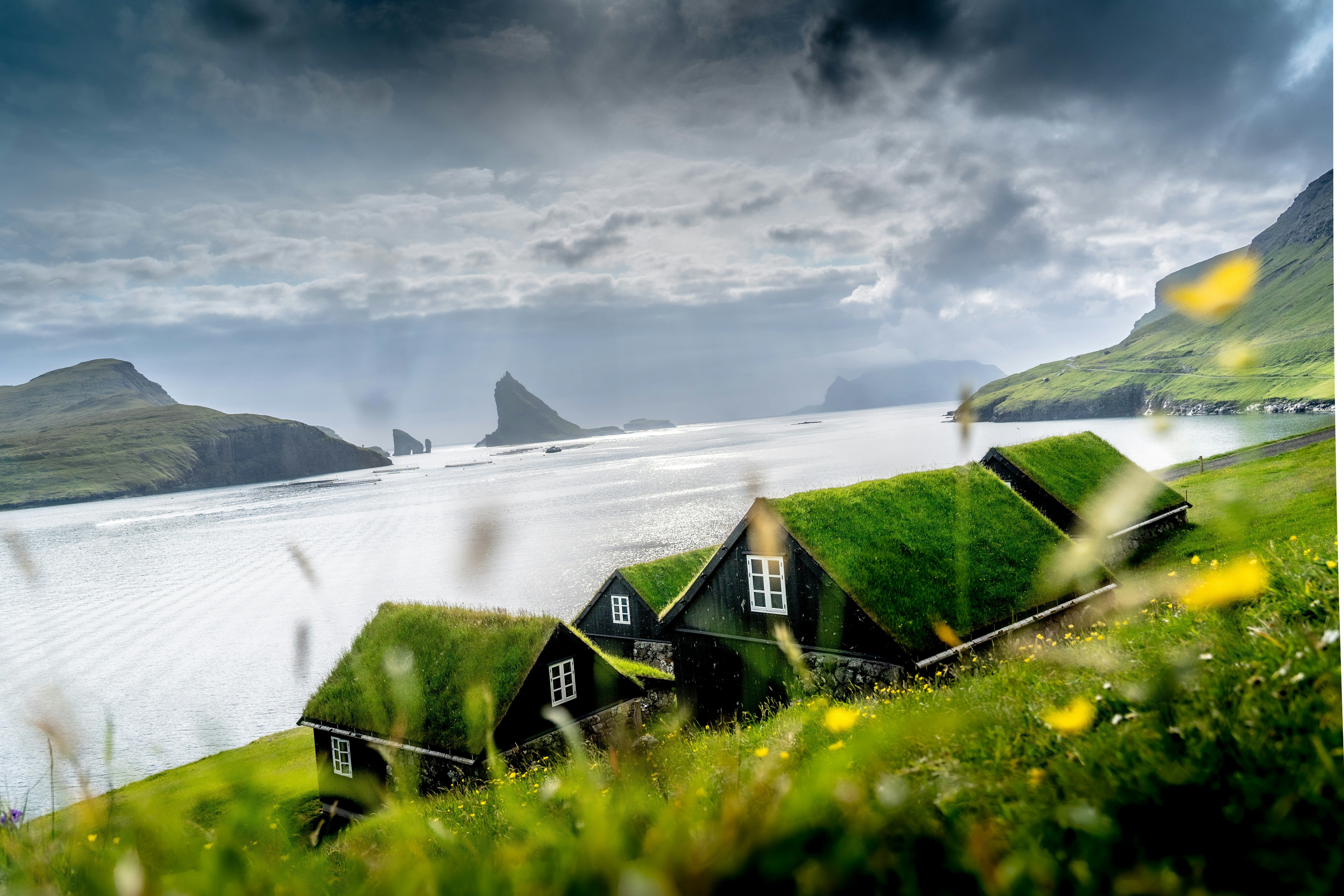 Houses with green roofs by a fjord.
