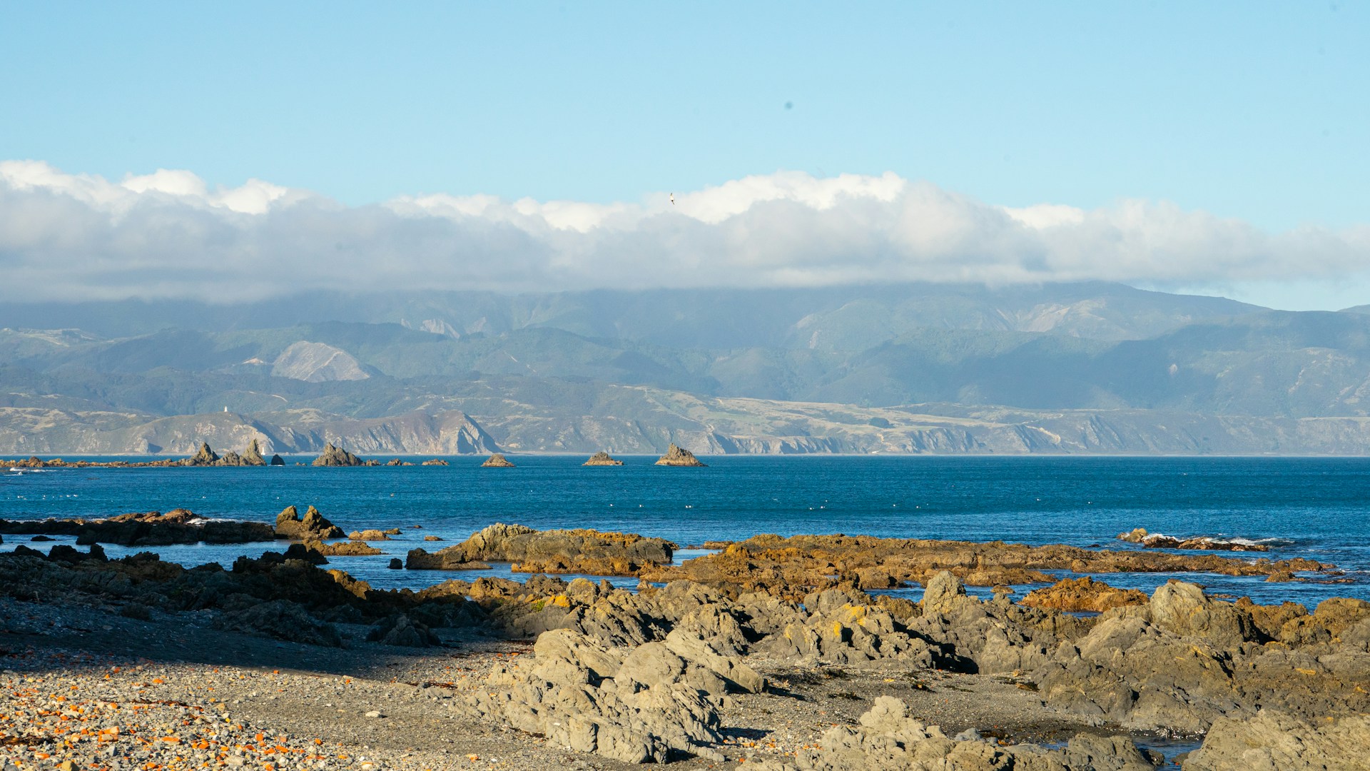 A rocky shoreline meets the turquoise sea.