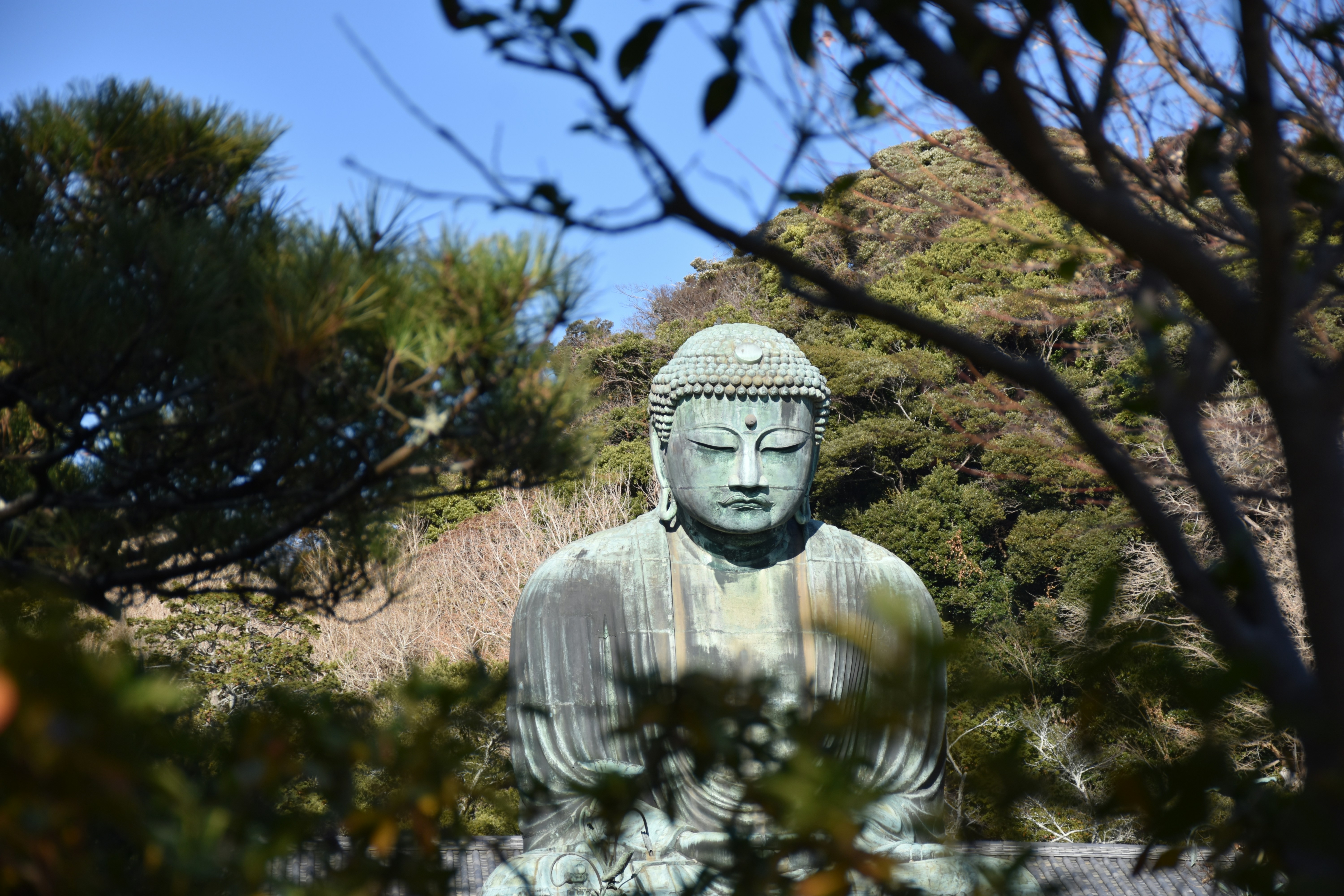 Buddha statue sits peacefully amid nature.