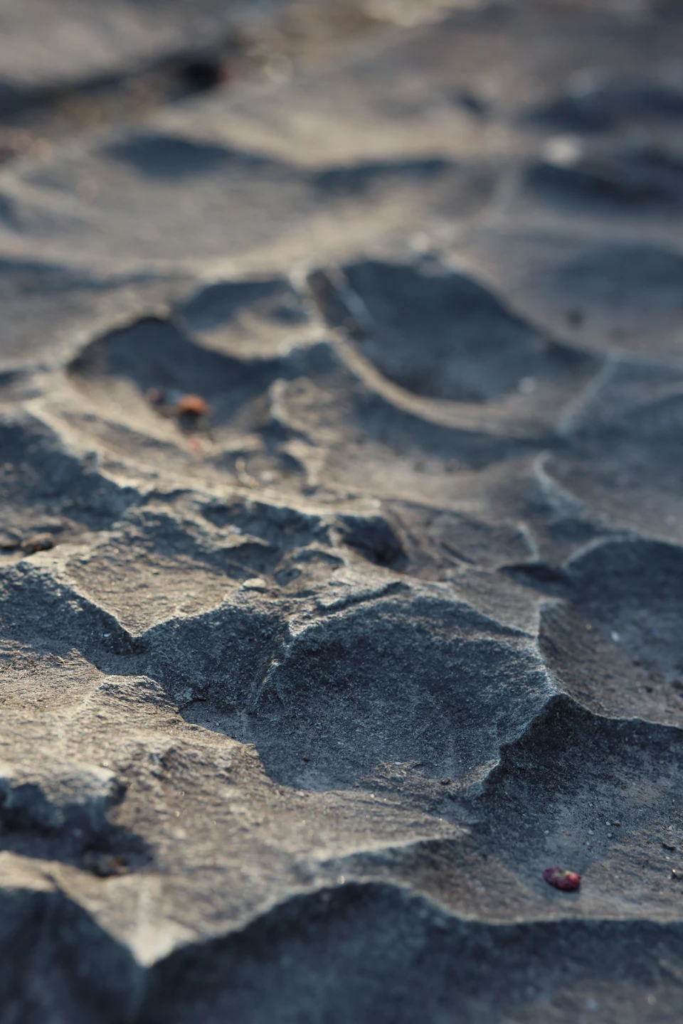 Close-up view of dark gray rock formation with rough texture and numerous small holes