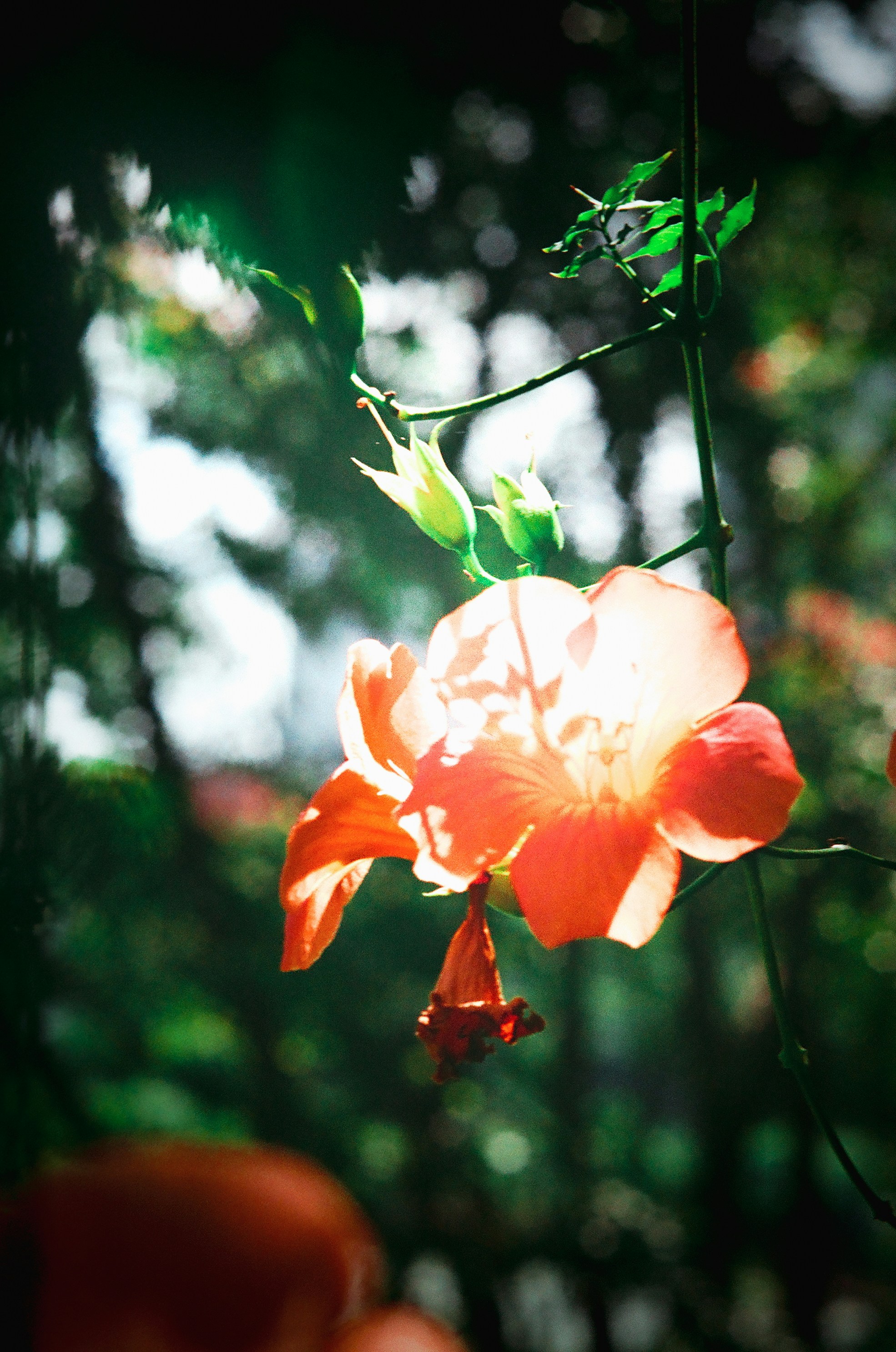 Photo by ttokttak_noir