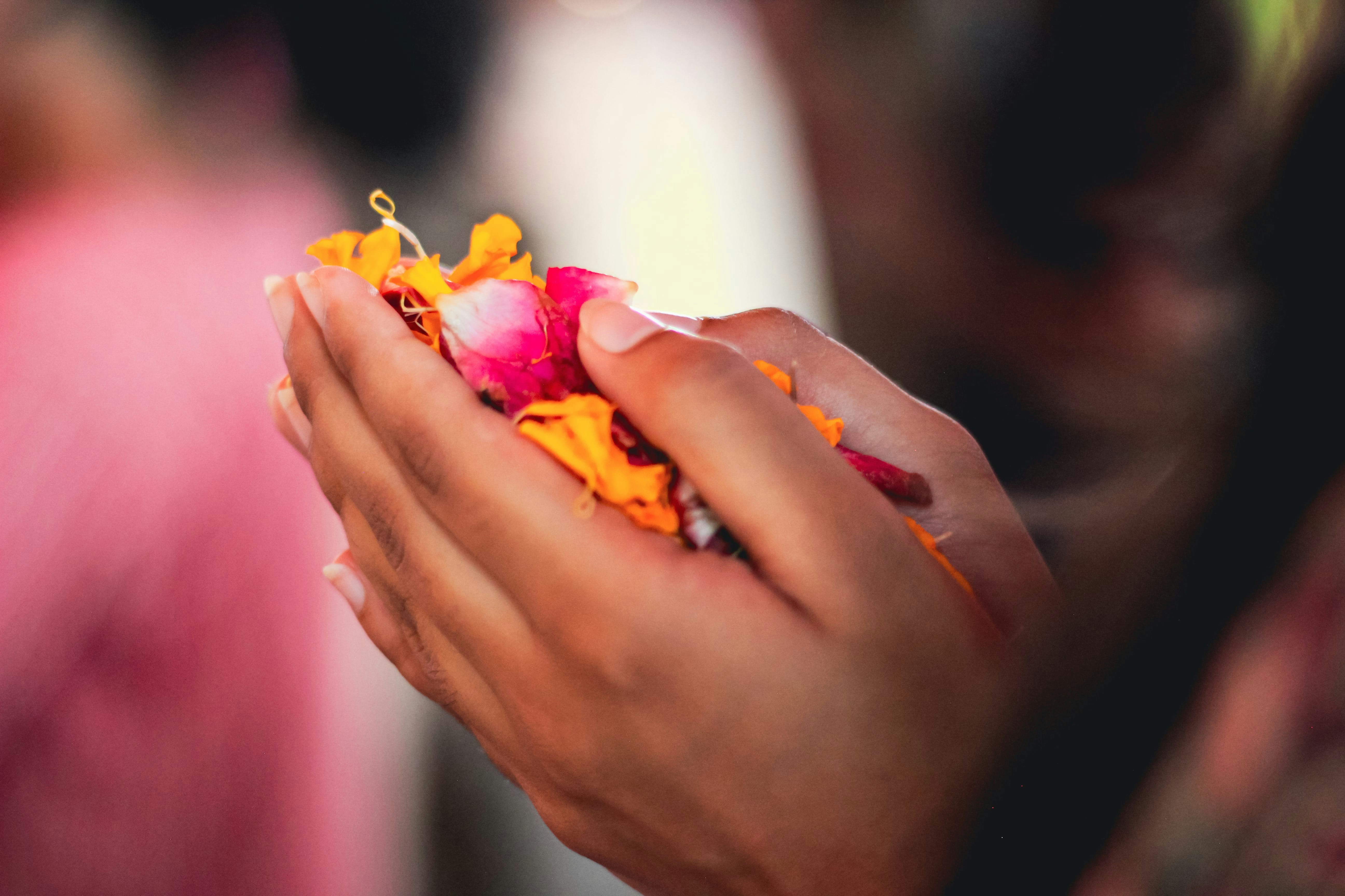 Photo by yashgoyal