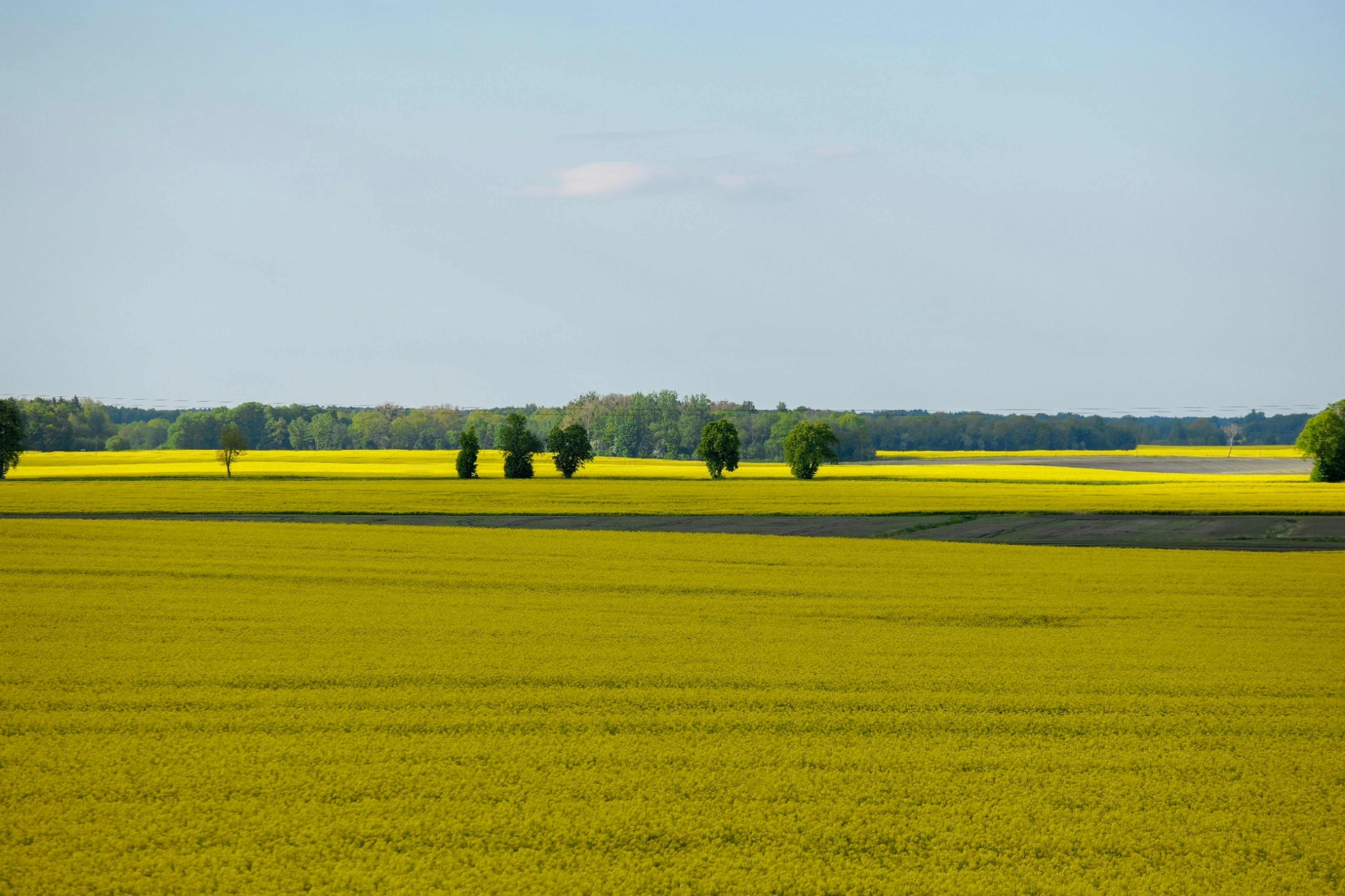 Photo by mariamaximova