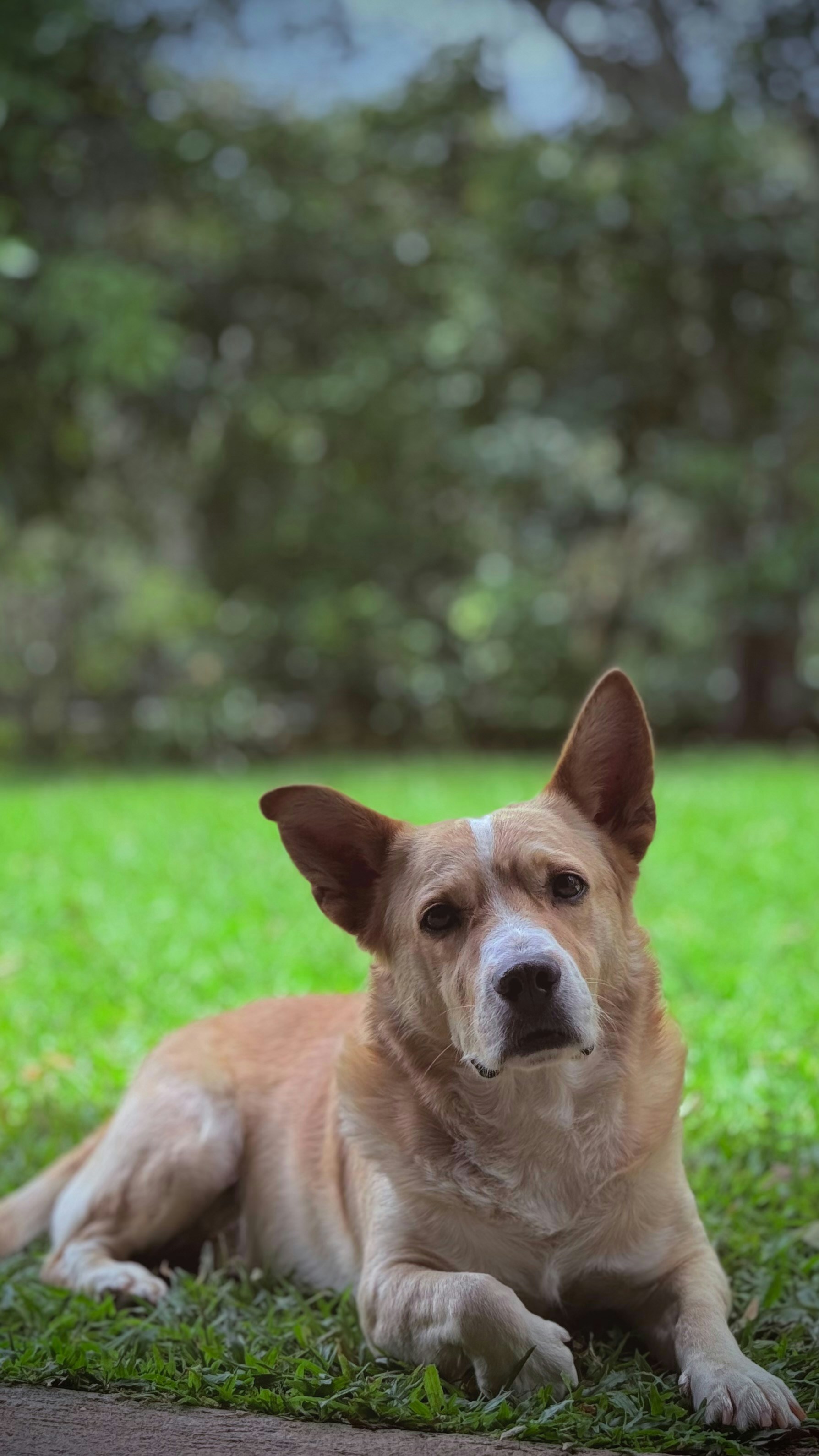 Photo by jrgluisduarteg07