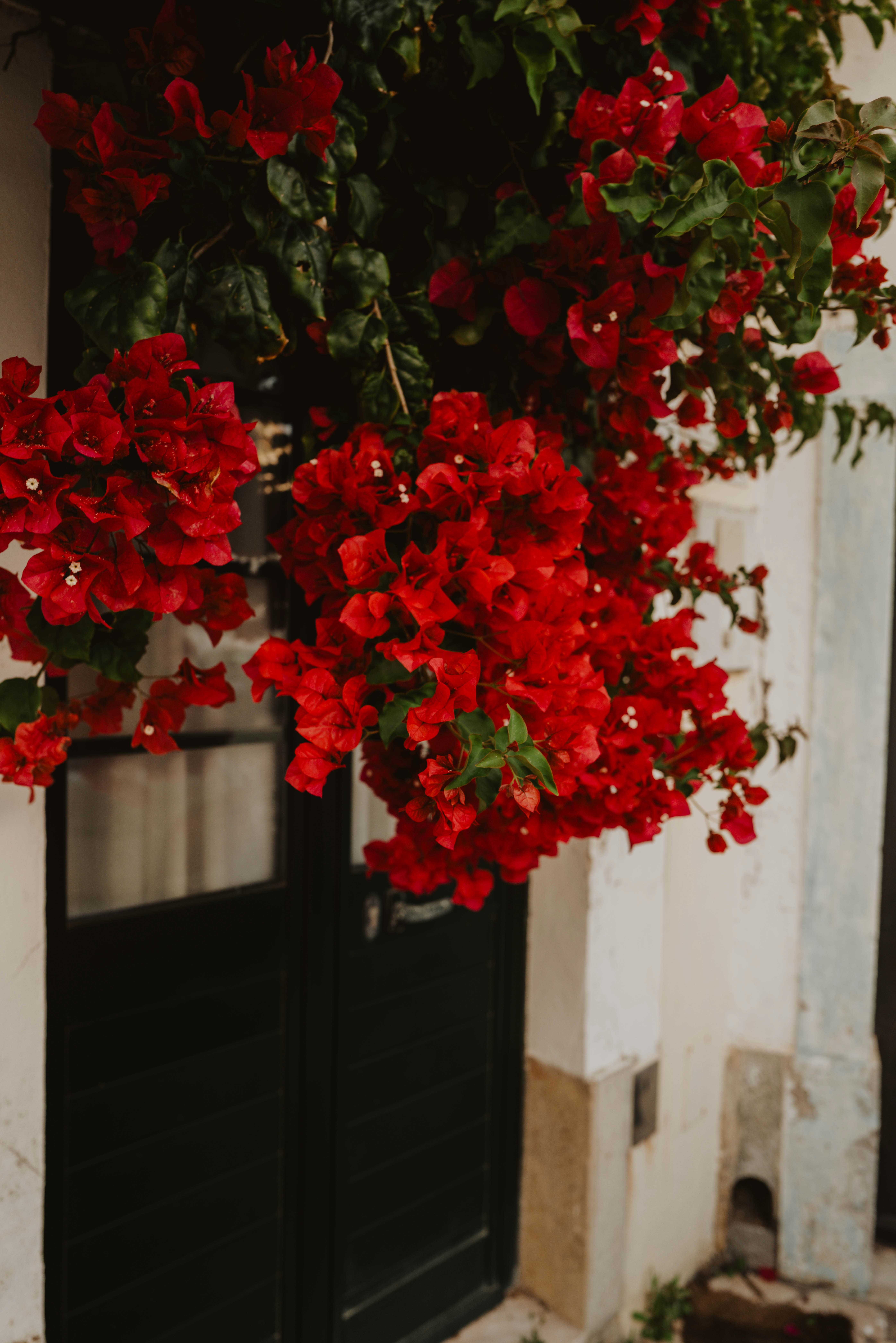 Photo by sarahmarkstaller