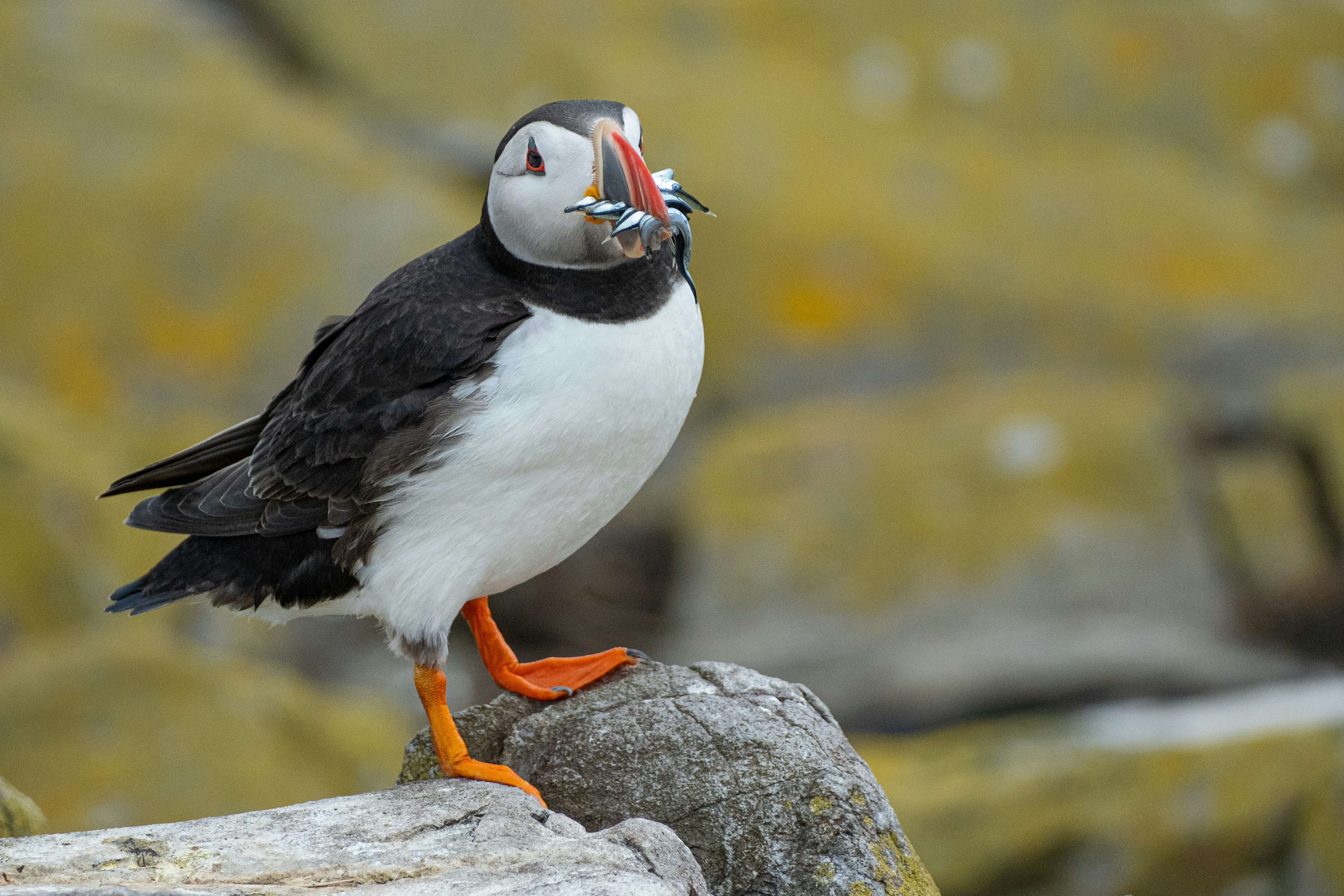 Photo by philrobson100