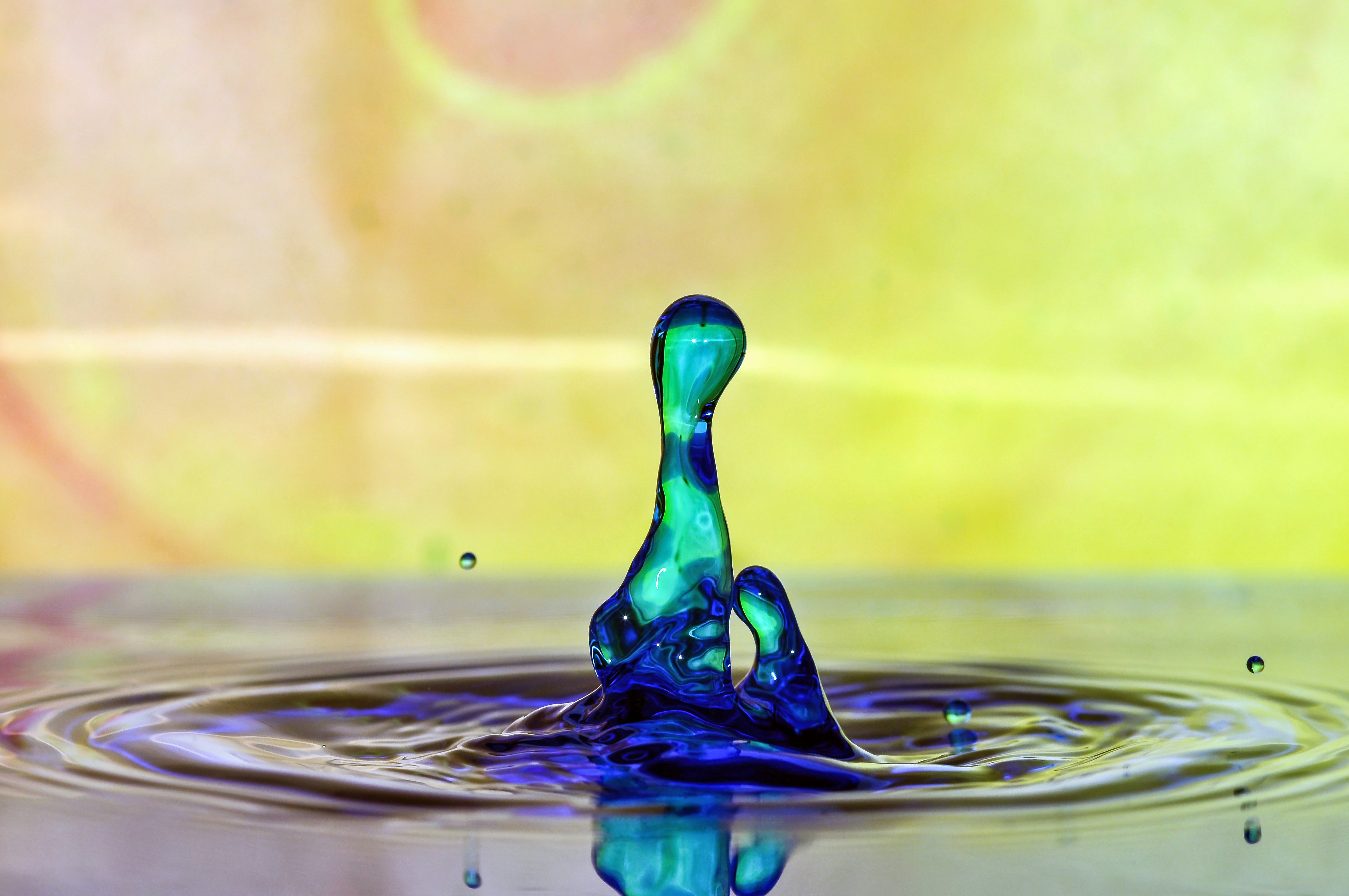 Photo by hamburgmeinefreundin