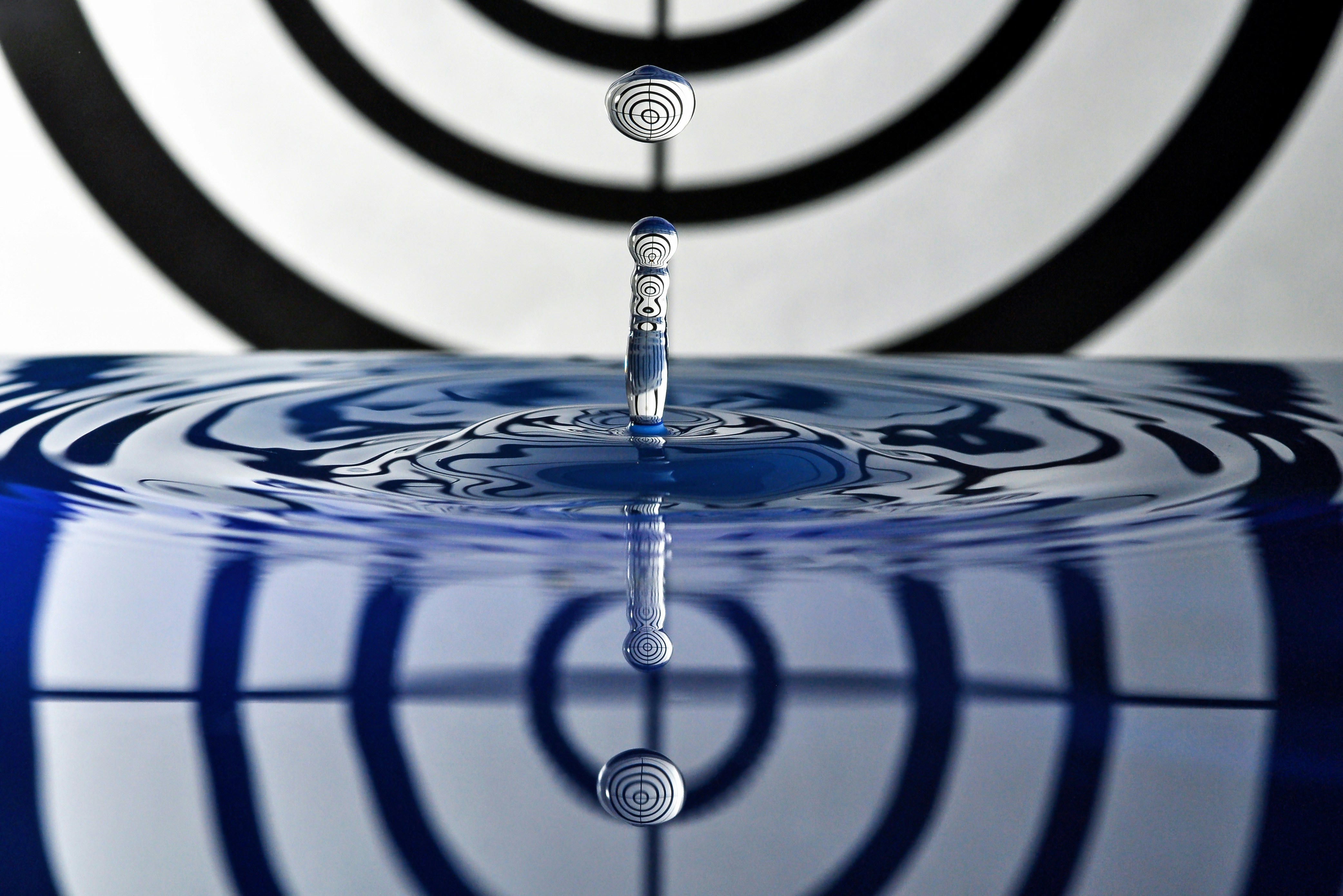 A water droplet impacts water, creating ripples. photo – Free ...