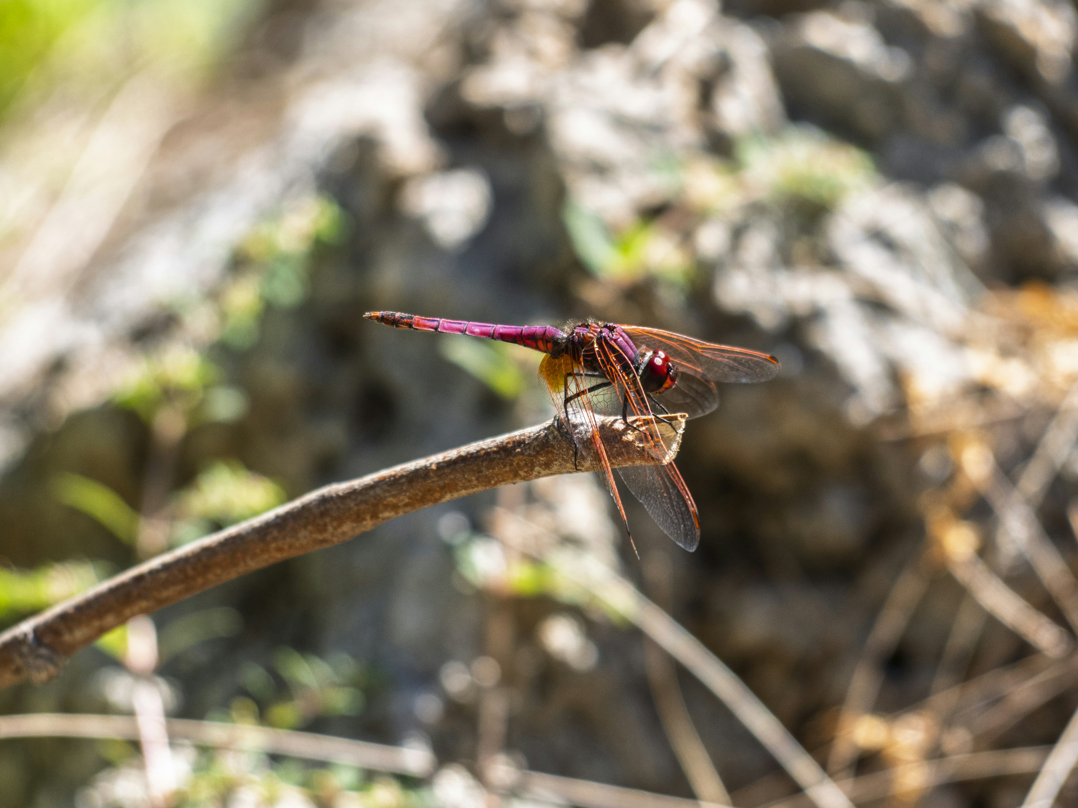 Photo by enginakyurt
