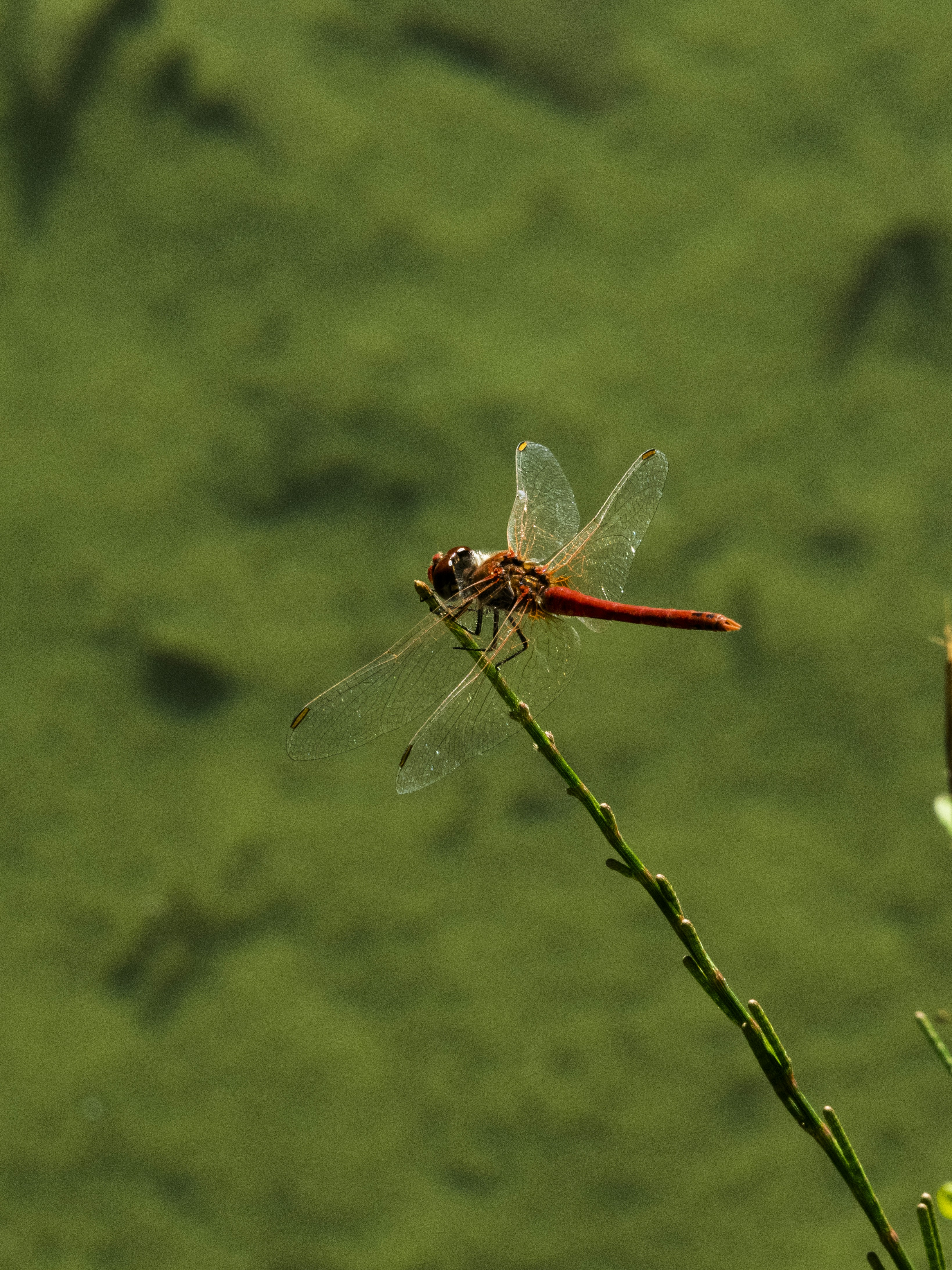 Photo by enginakyurt