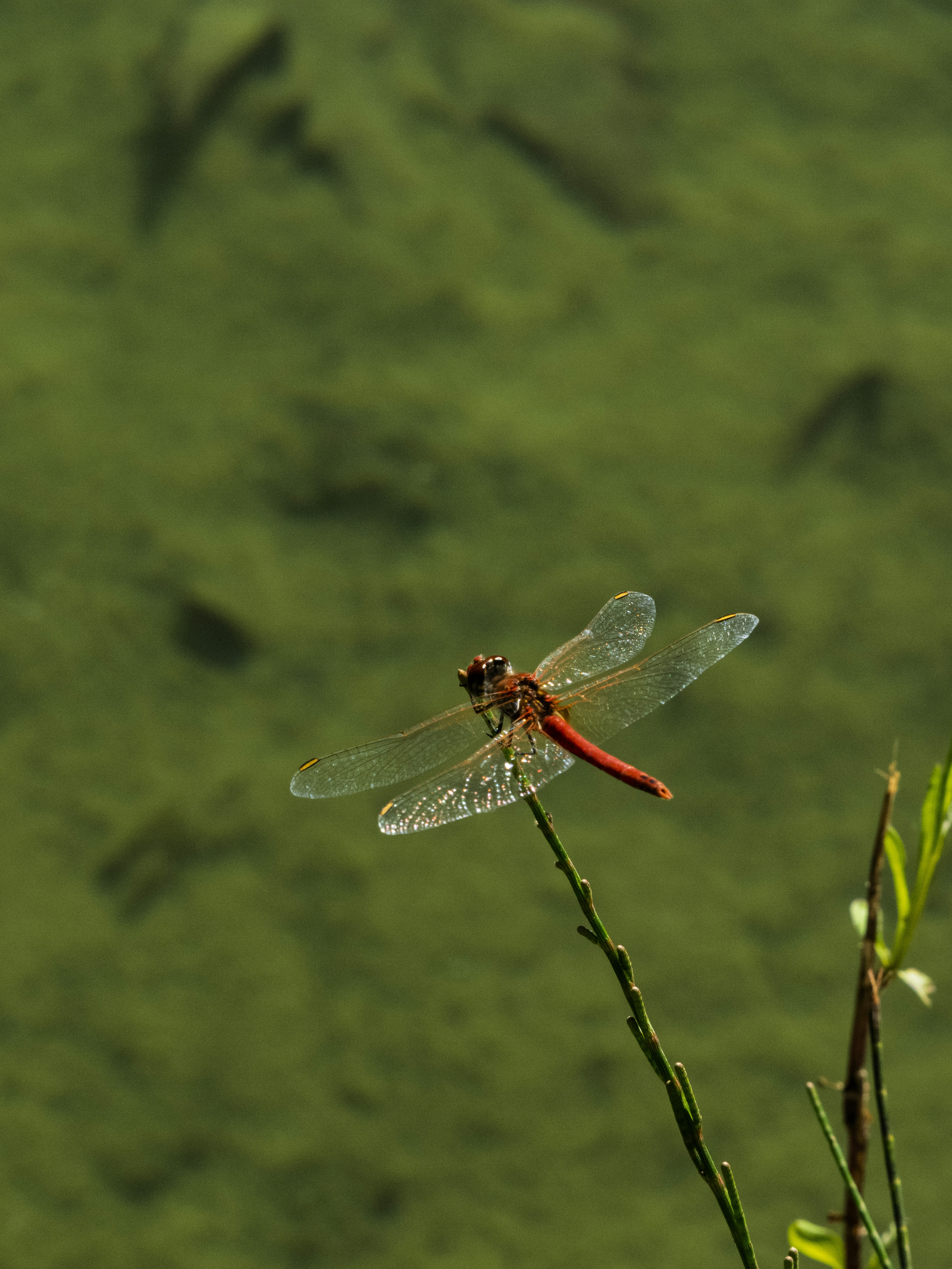 Photo by enginakyurt