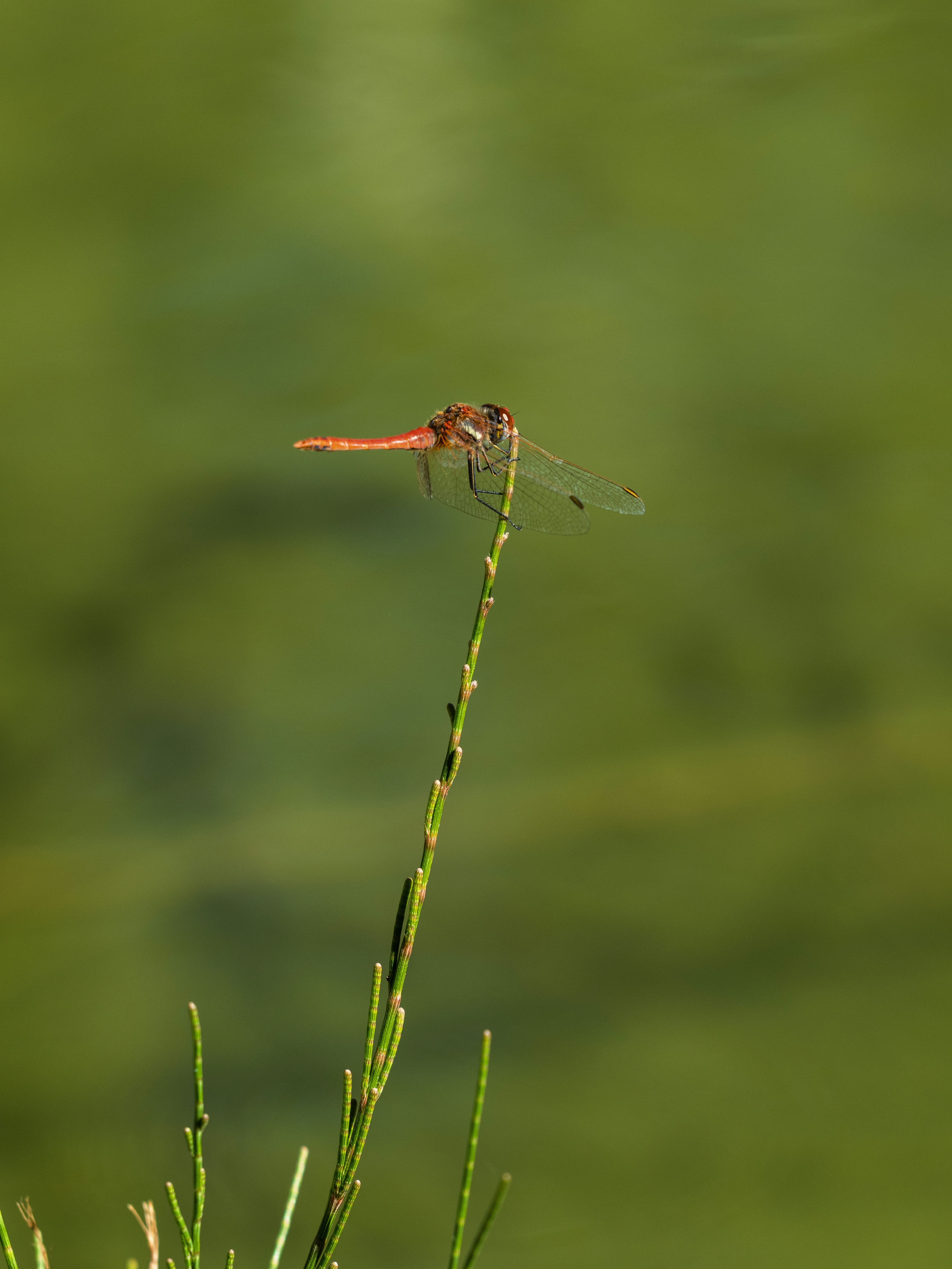 Photo by enginakyurt