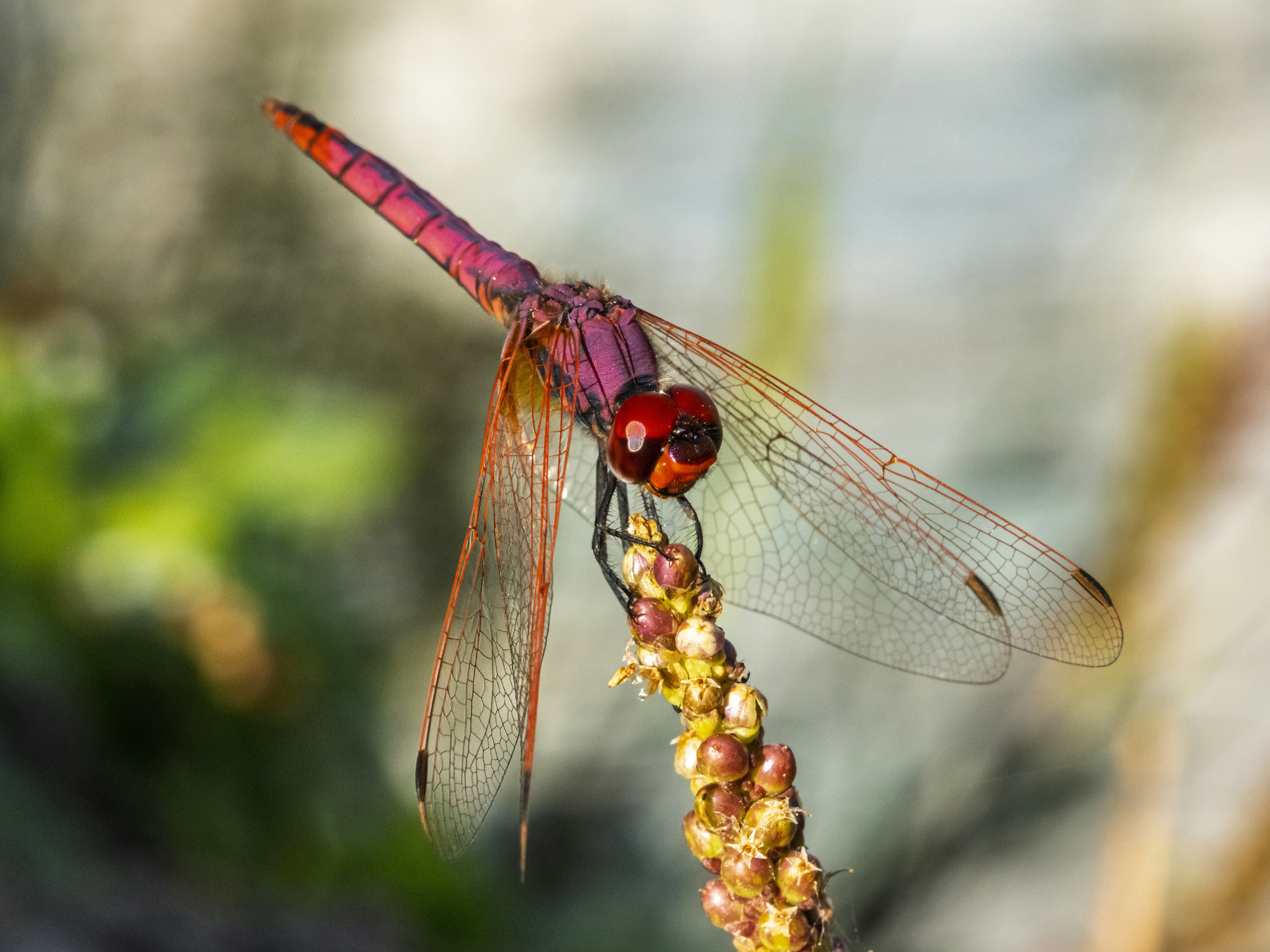 Photo by enginakyurt