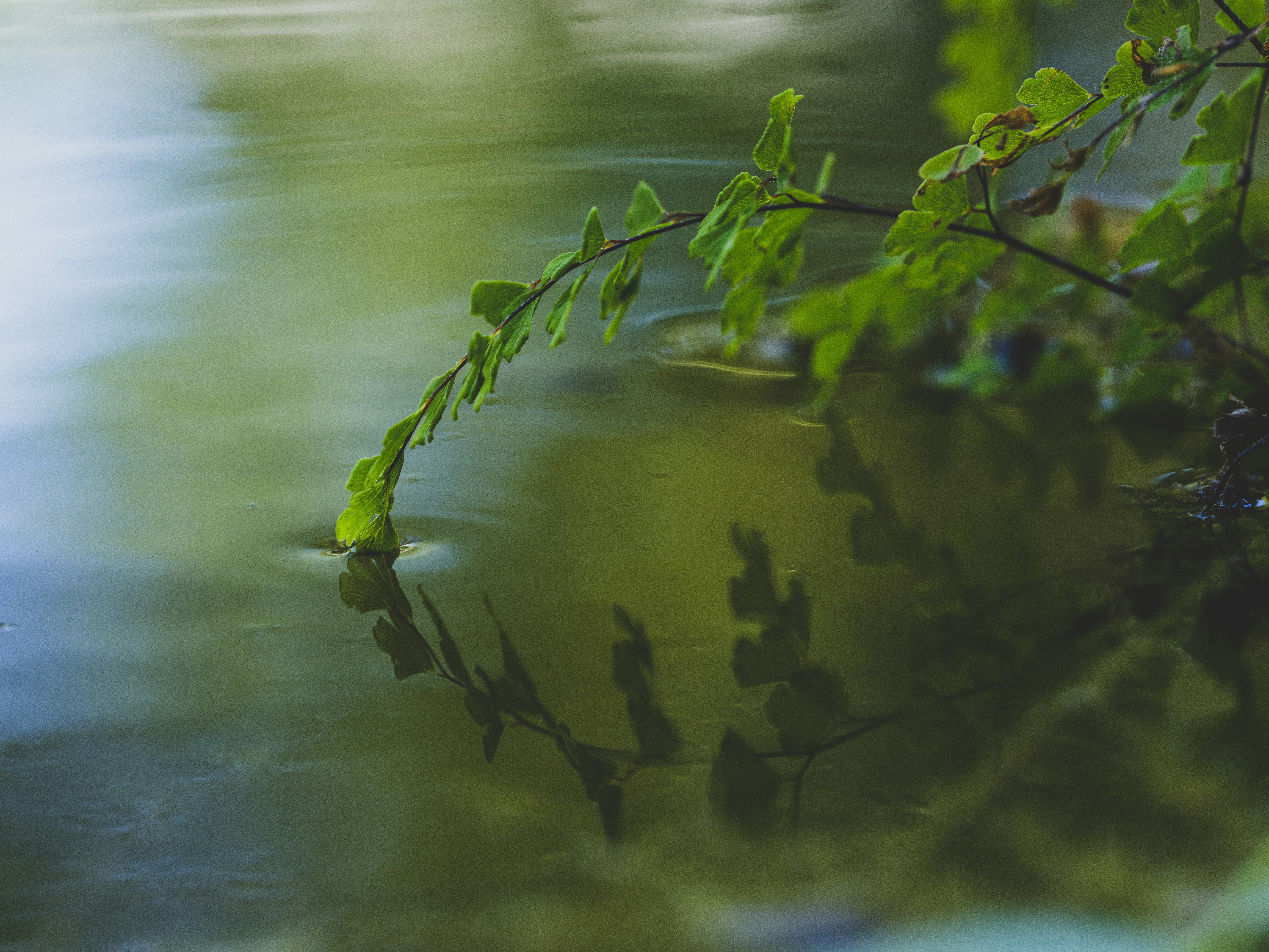 Photo by enginakyurt