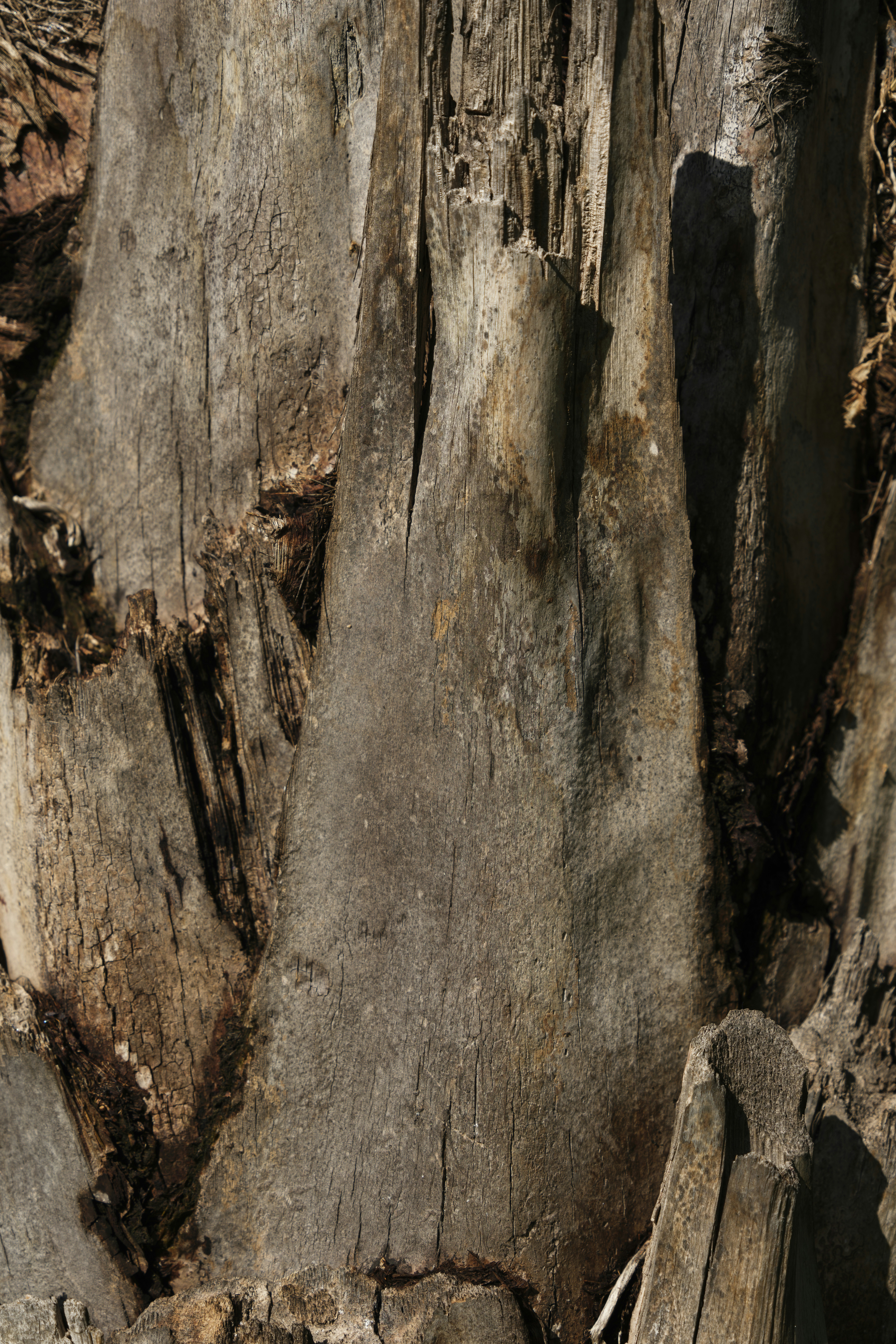 Photo by enginakyurt