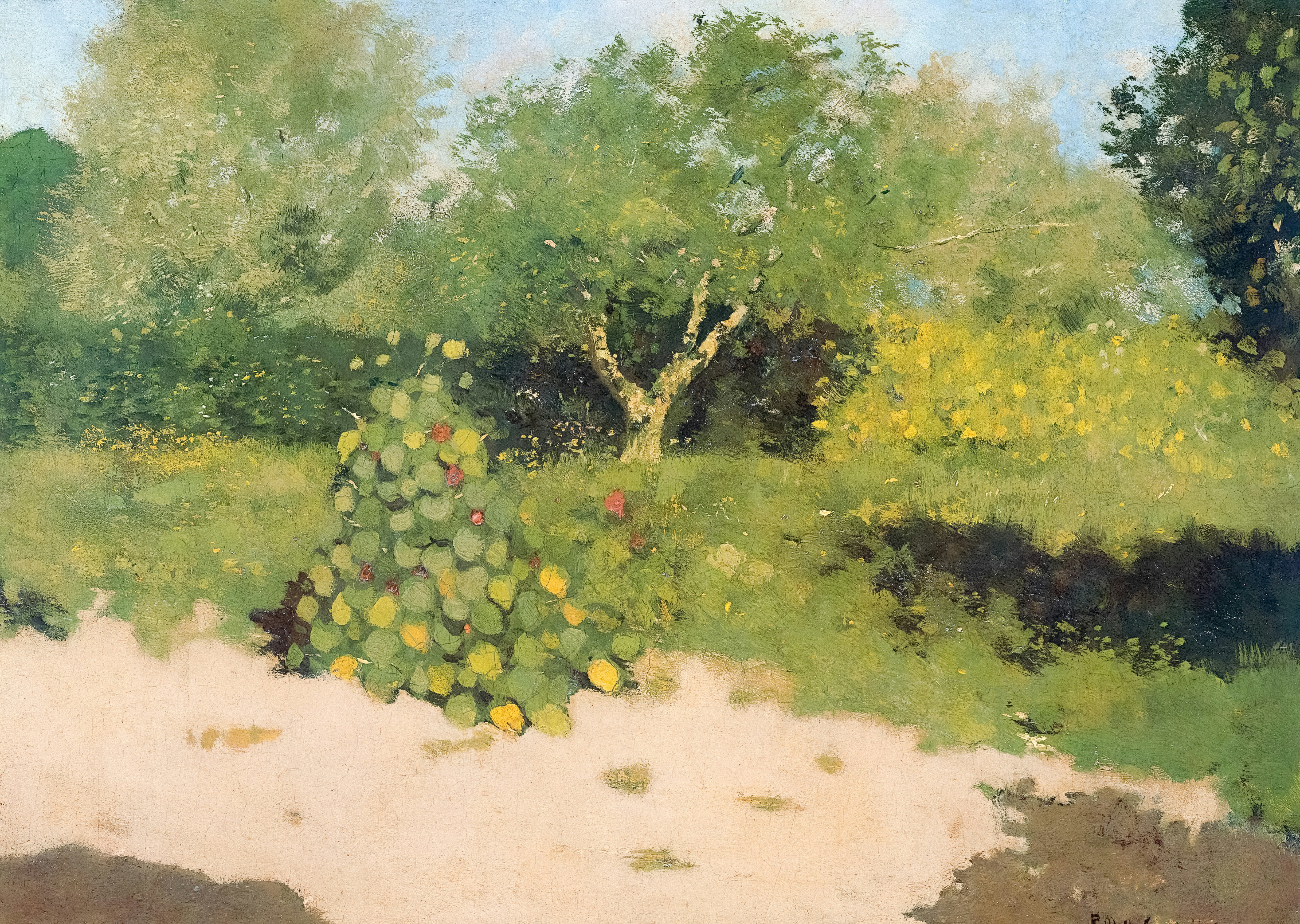 From Careless Eye To Learning Challenges, Uncover Just How Pediatric Eye Specialists Can Transform Your Child'S Future And Open Their Full Potential. What Steps Will You Take?