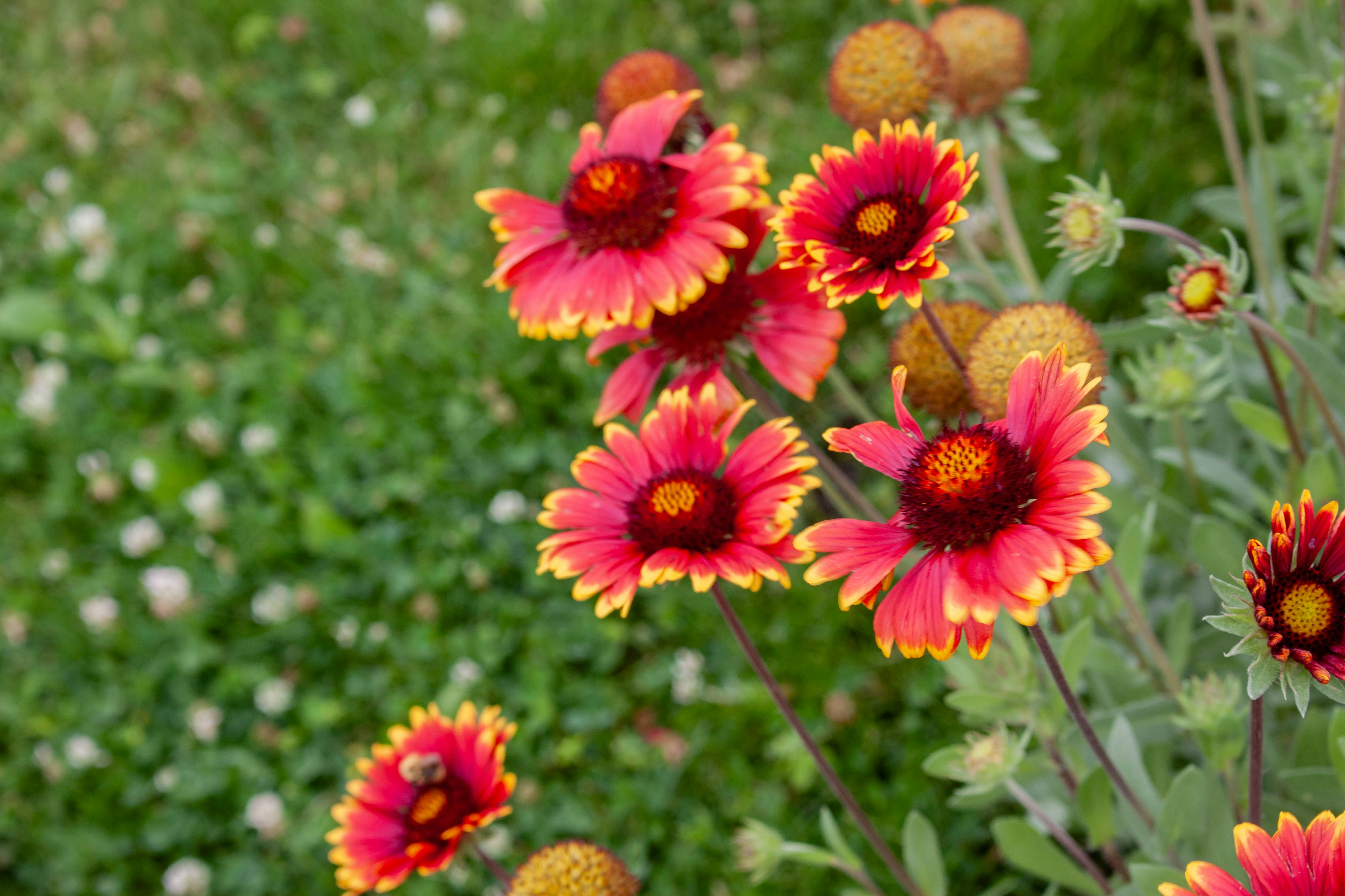 Photo by kamillaisalieva