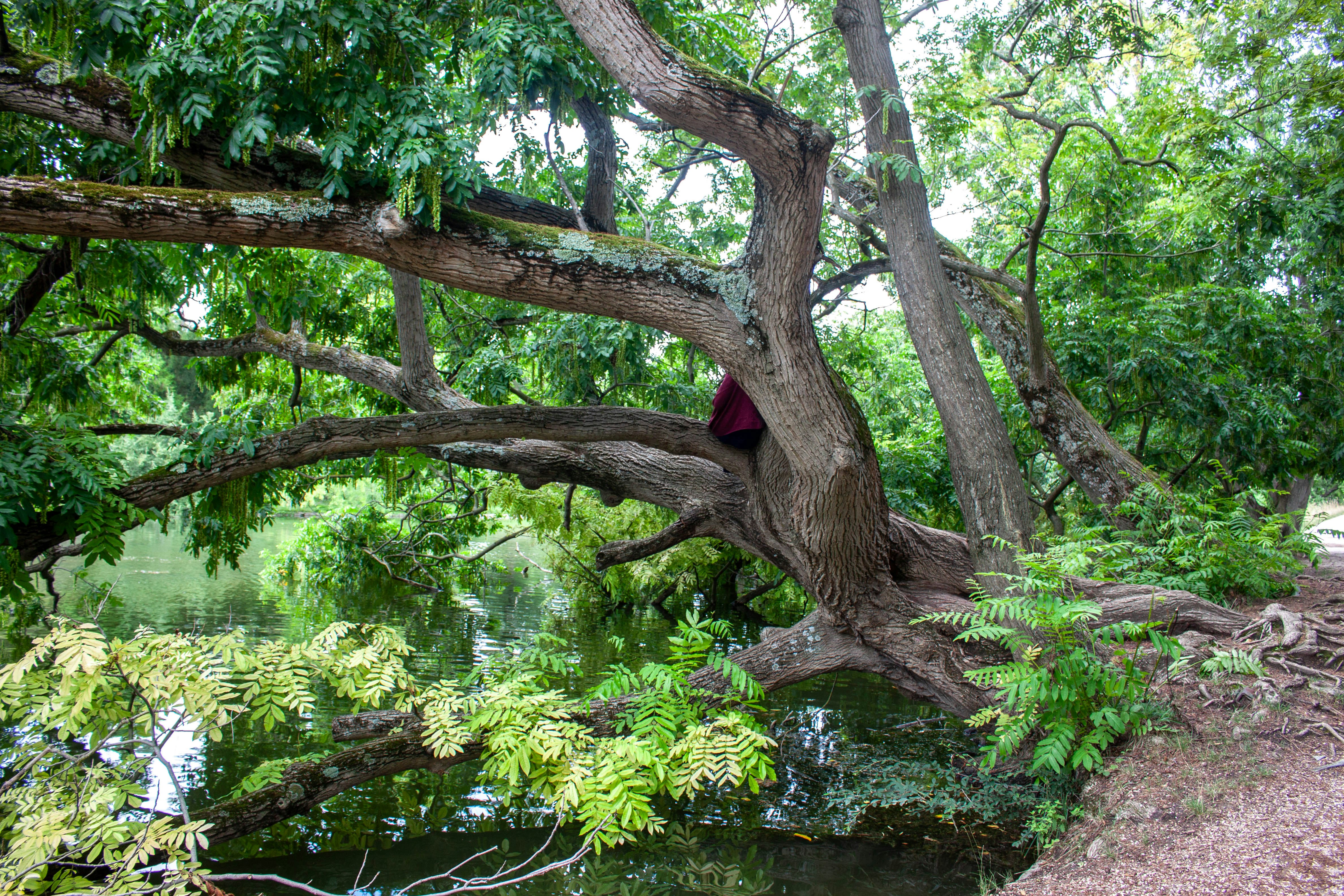 Photo by kamillaisalieva