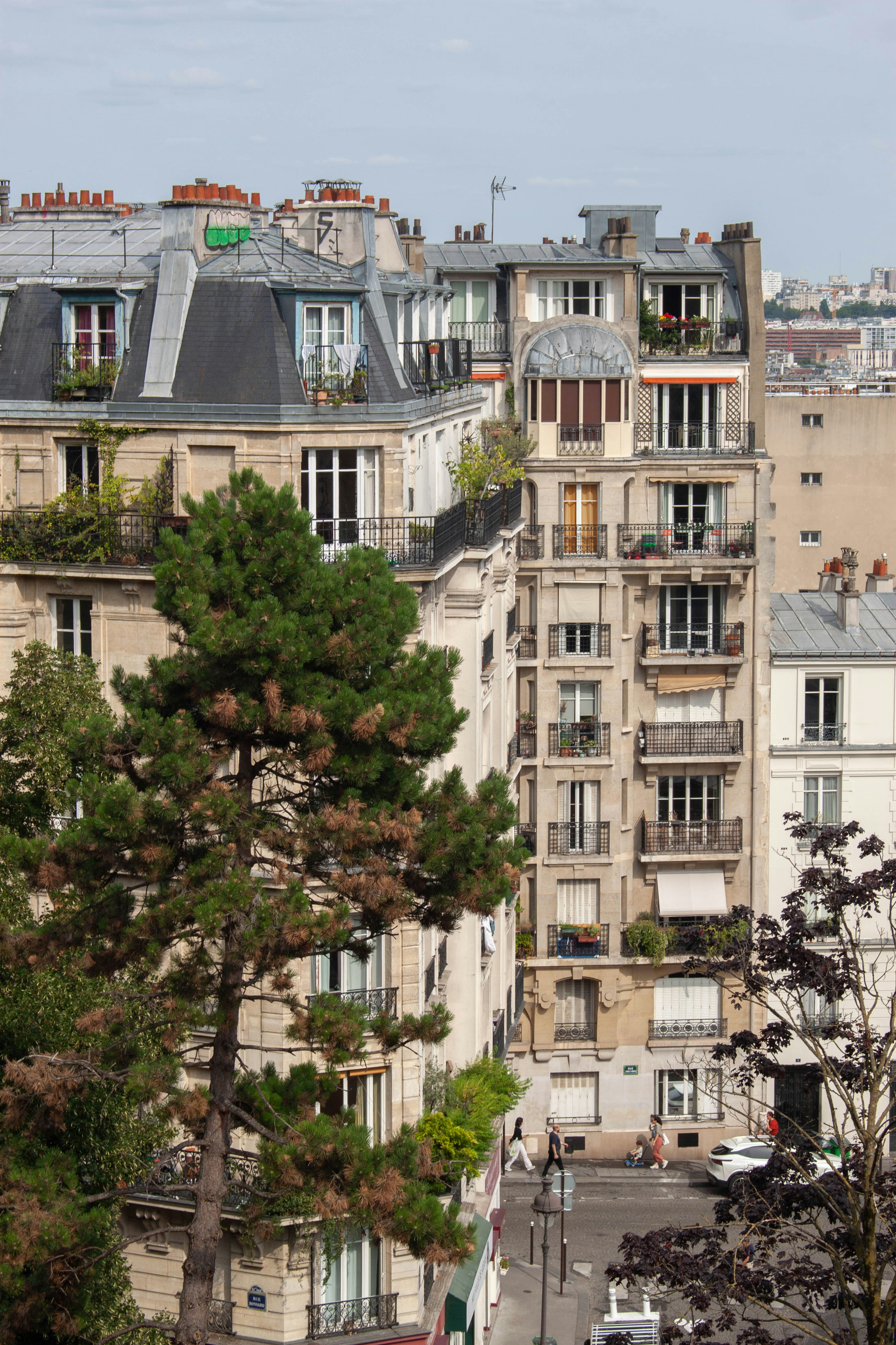 Photo by kamillaisalieva