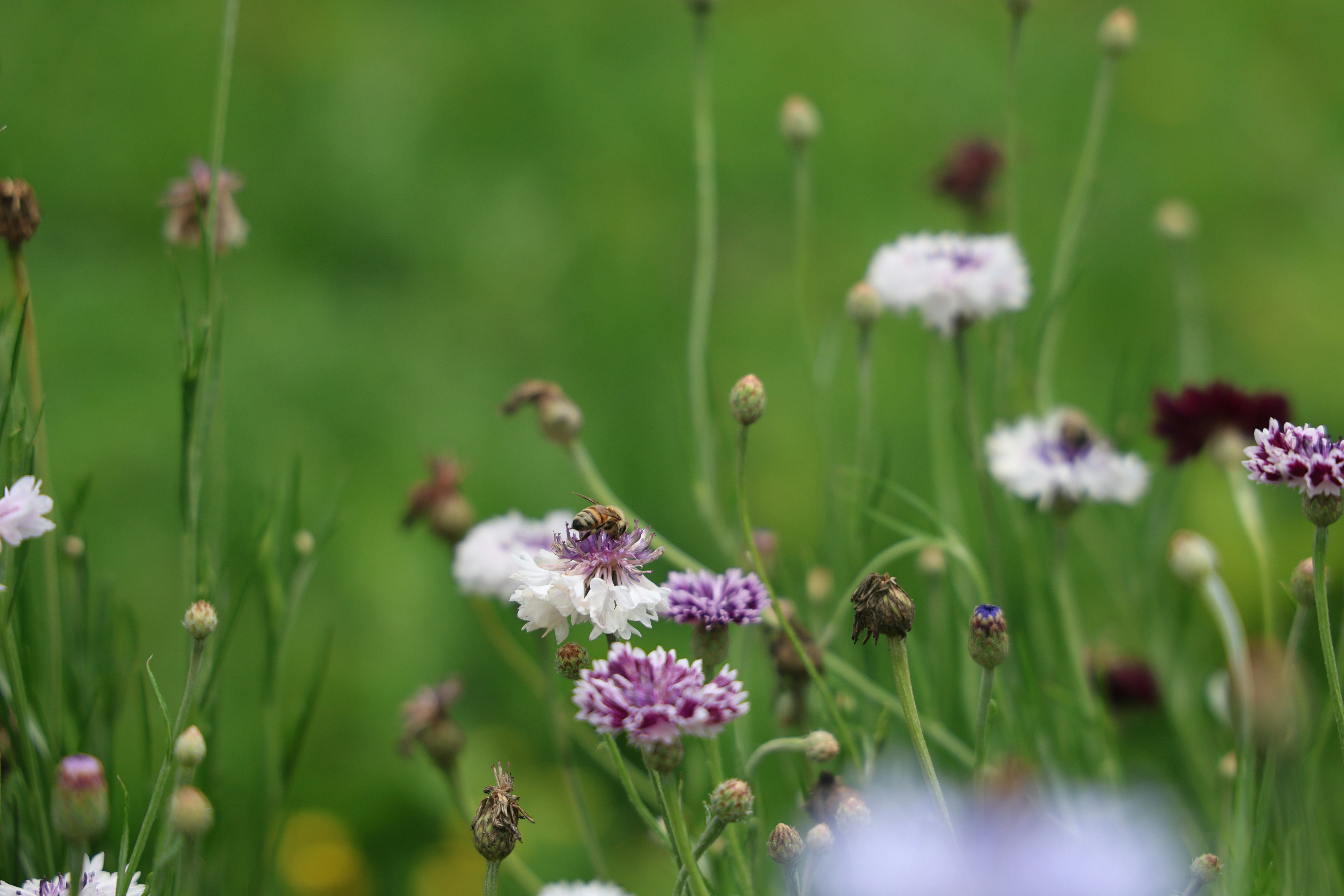 Photo by kaitlynraeann