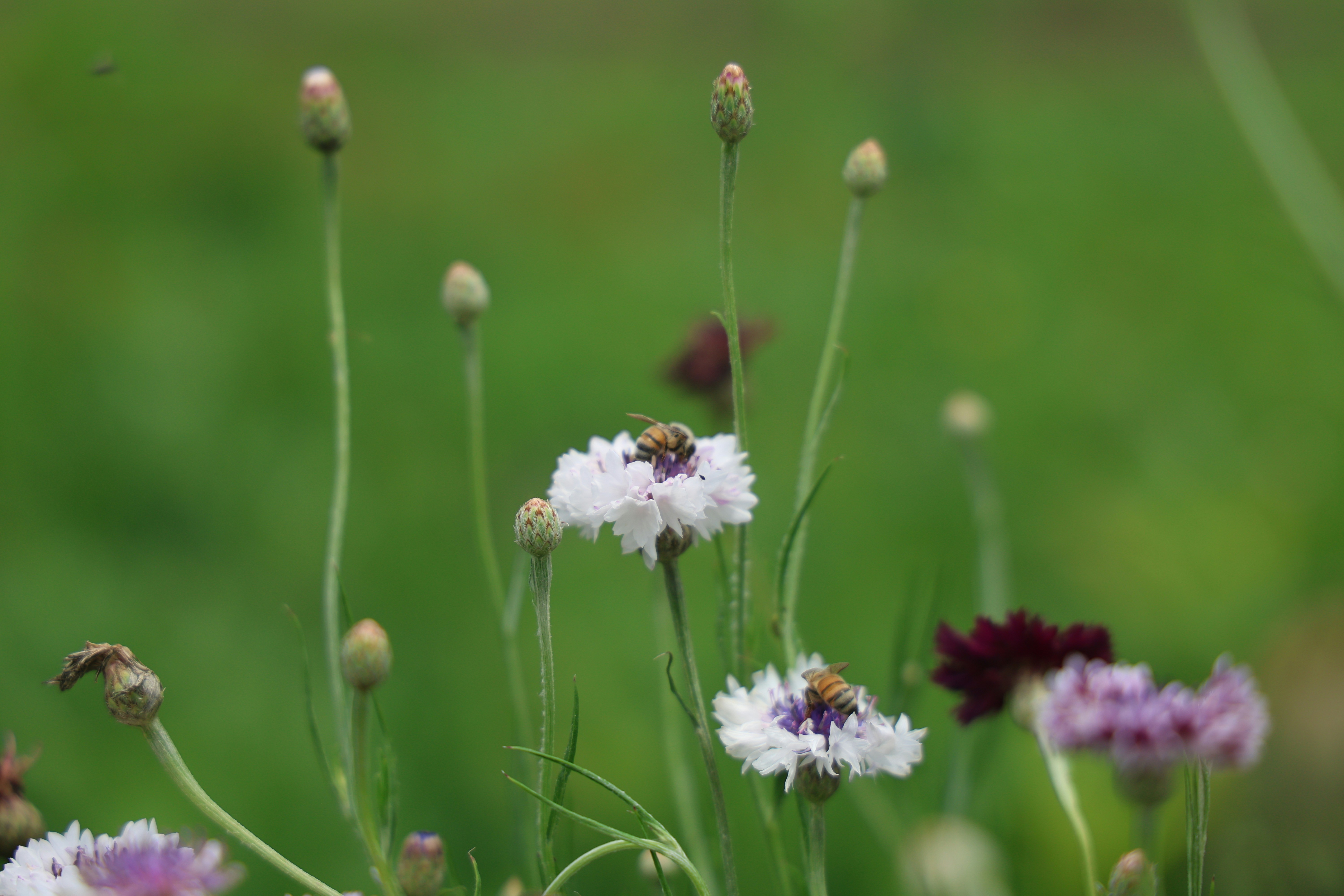 Photo by kaitlynraeann