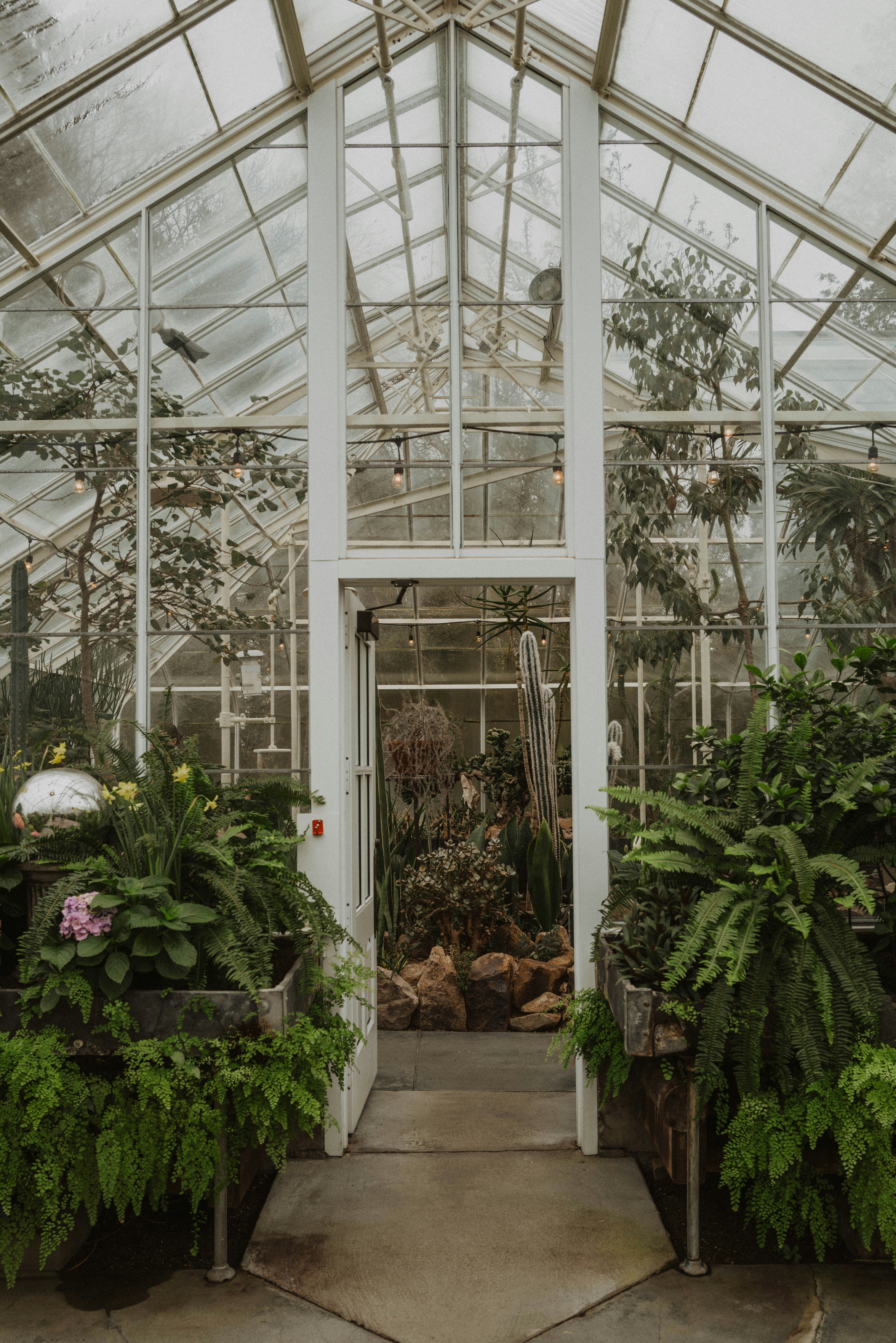 Photo by sarahmarkstaller