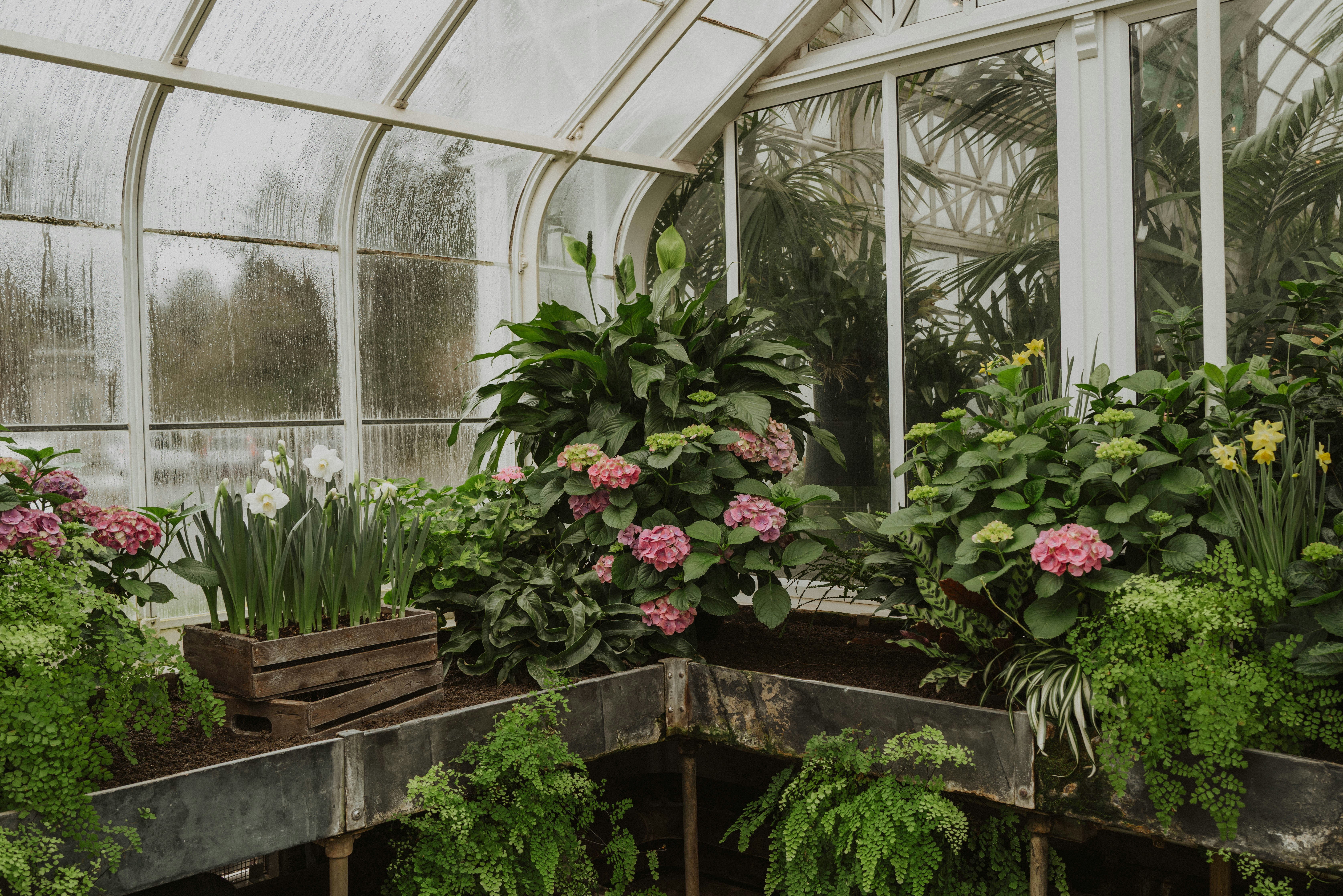 Photo by sarahmarkstaller