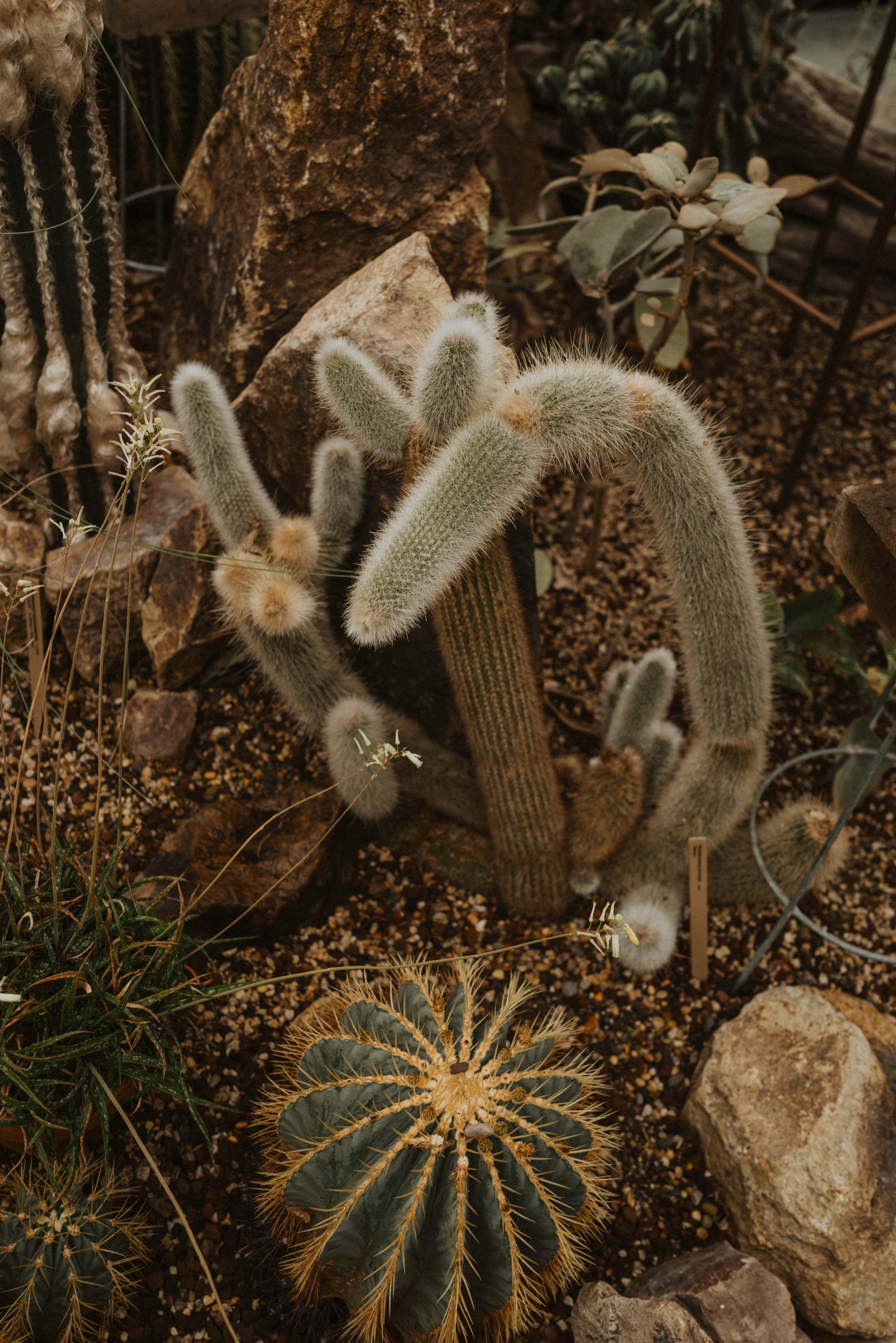 Photo by sarahmarkstaller