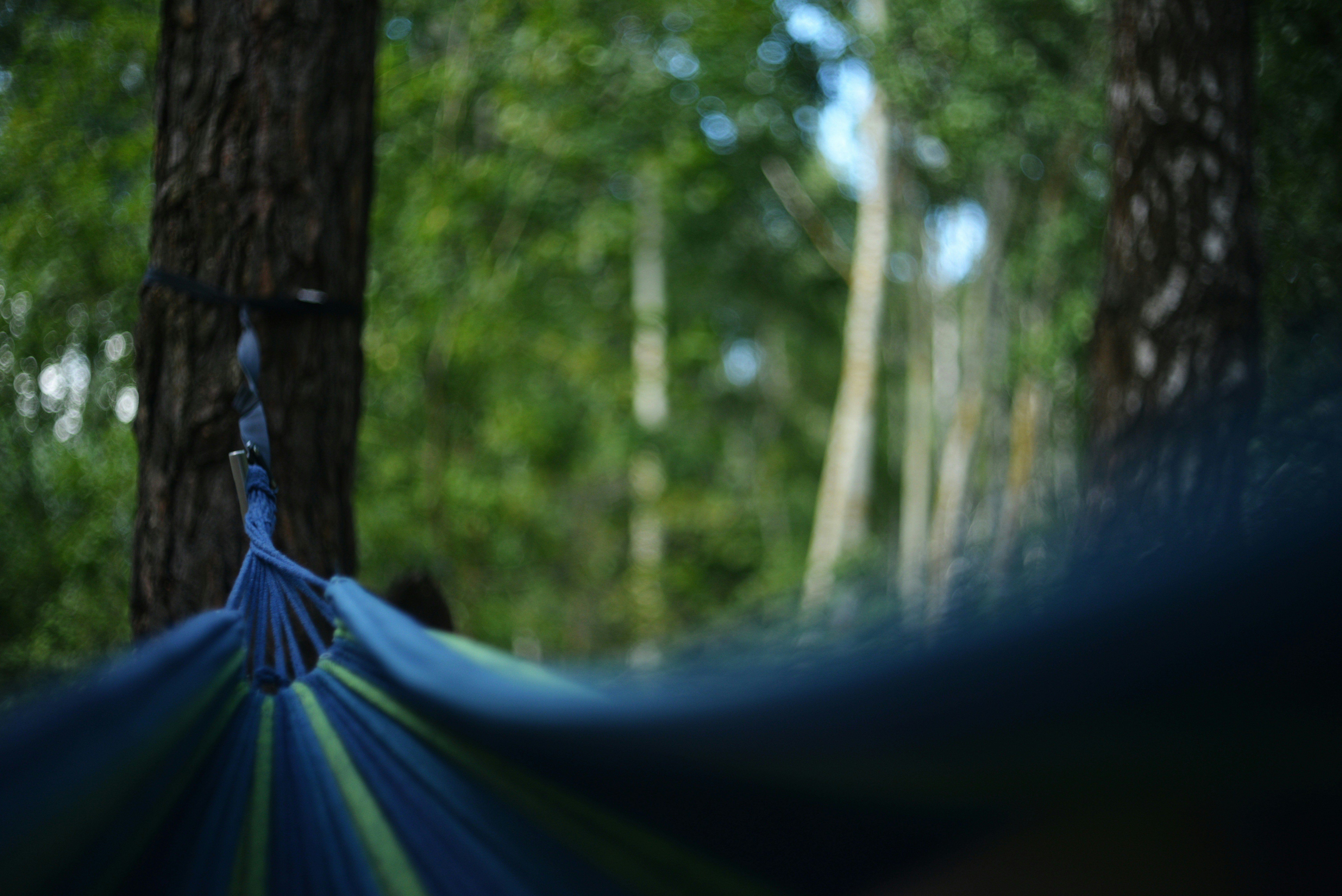 Photo by cherstve_pechivo