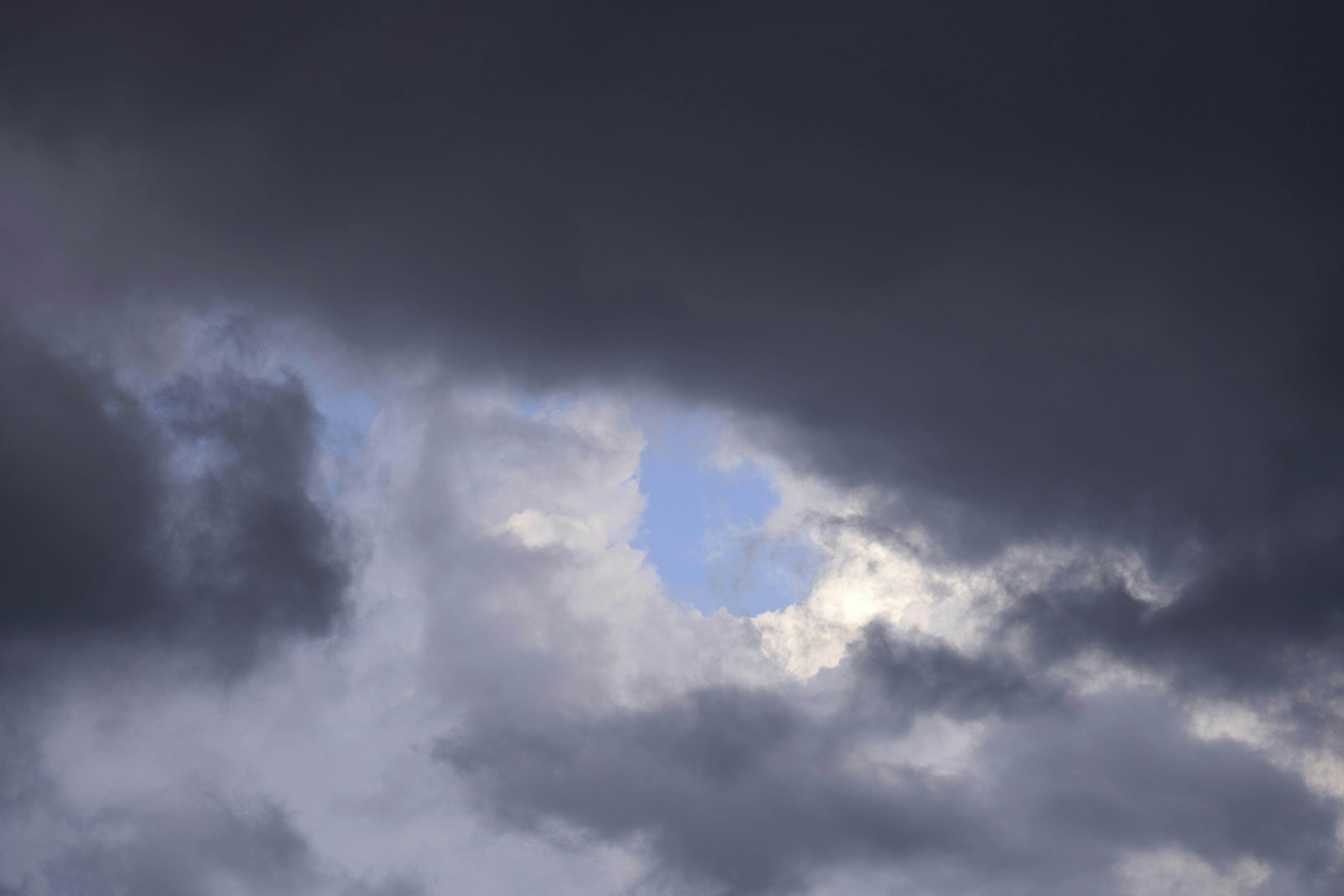 Photo by wolfgang_hasselmann