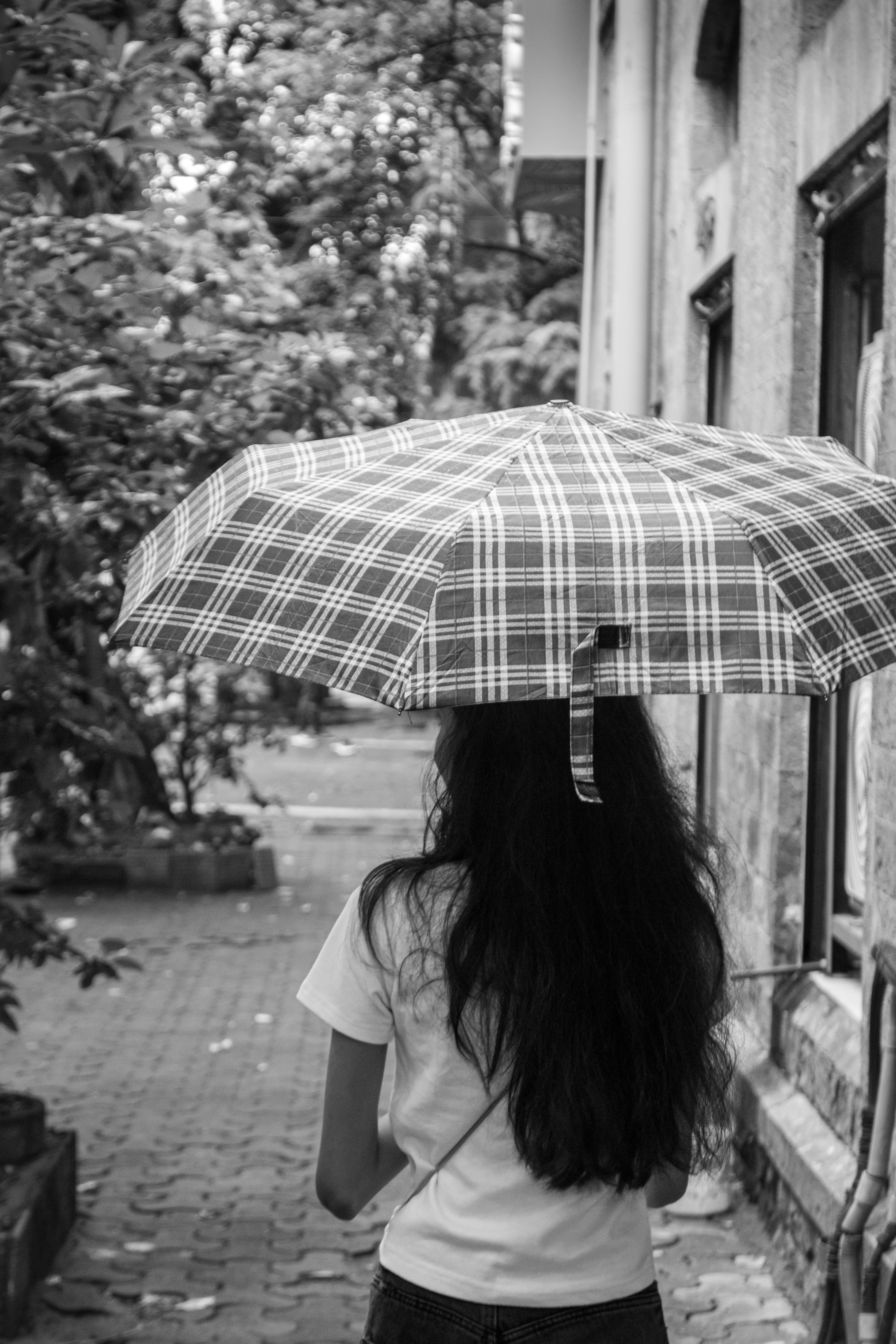 Photo by zoshuacolah