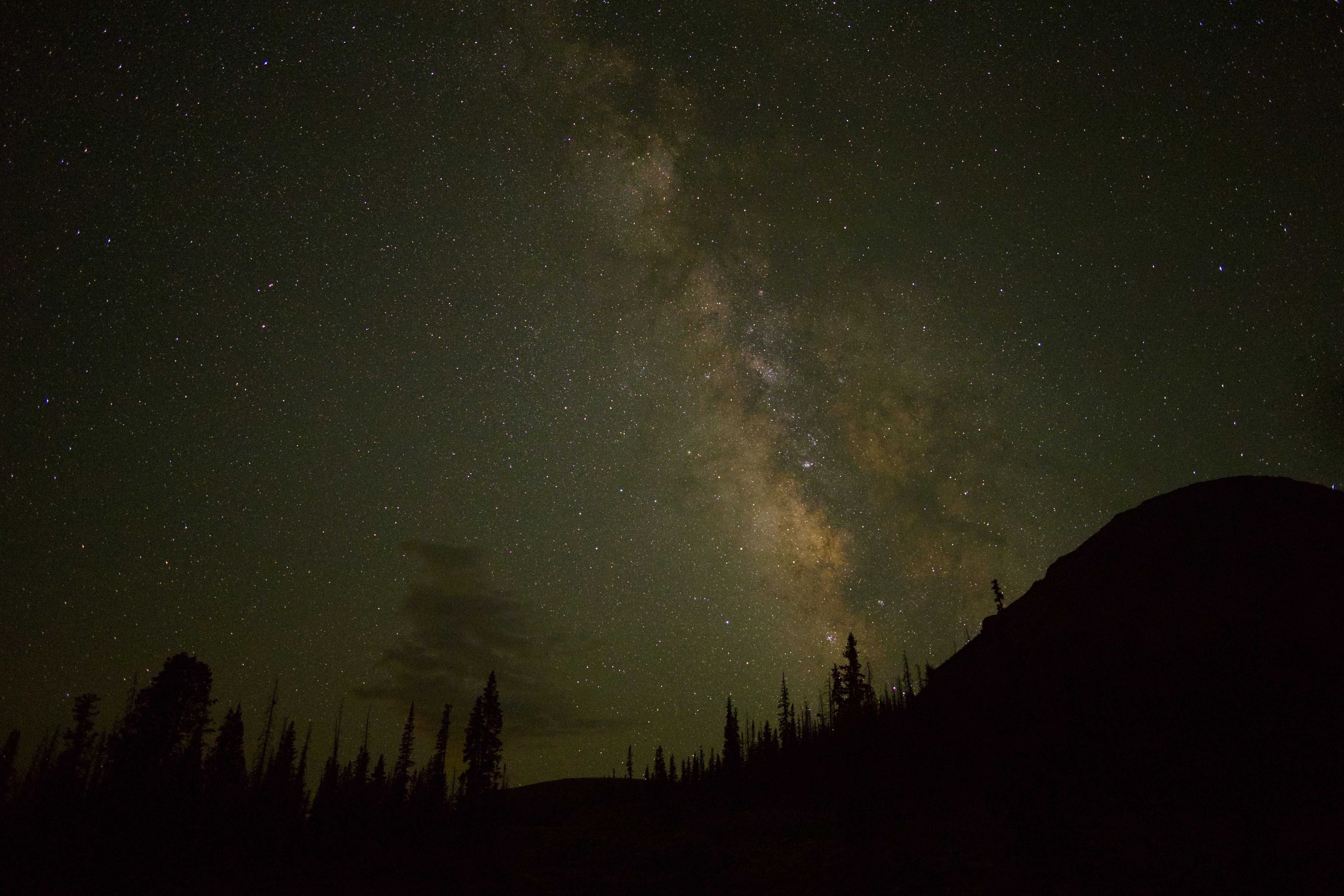 The milky way shines brightly above dark silhouettes.