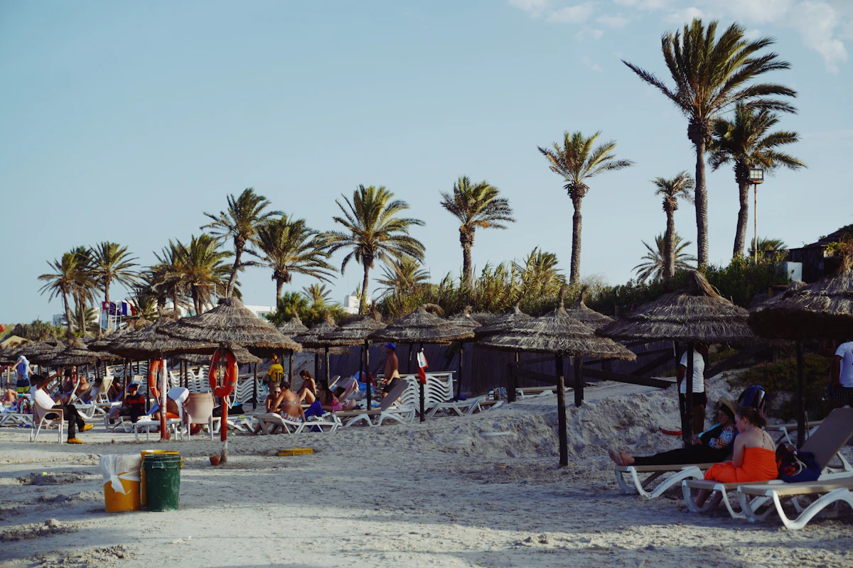 A beach with palm trees in Tunisia