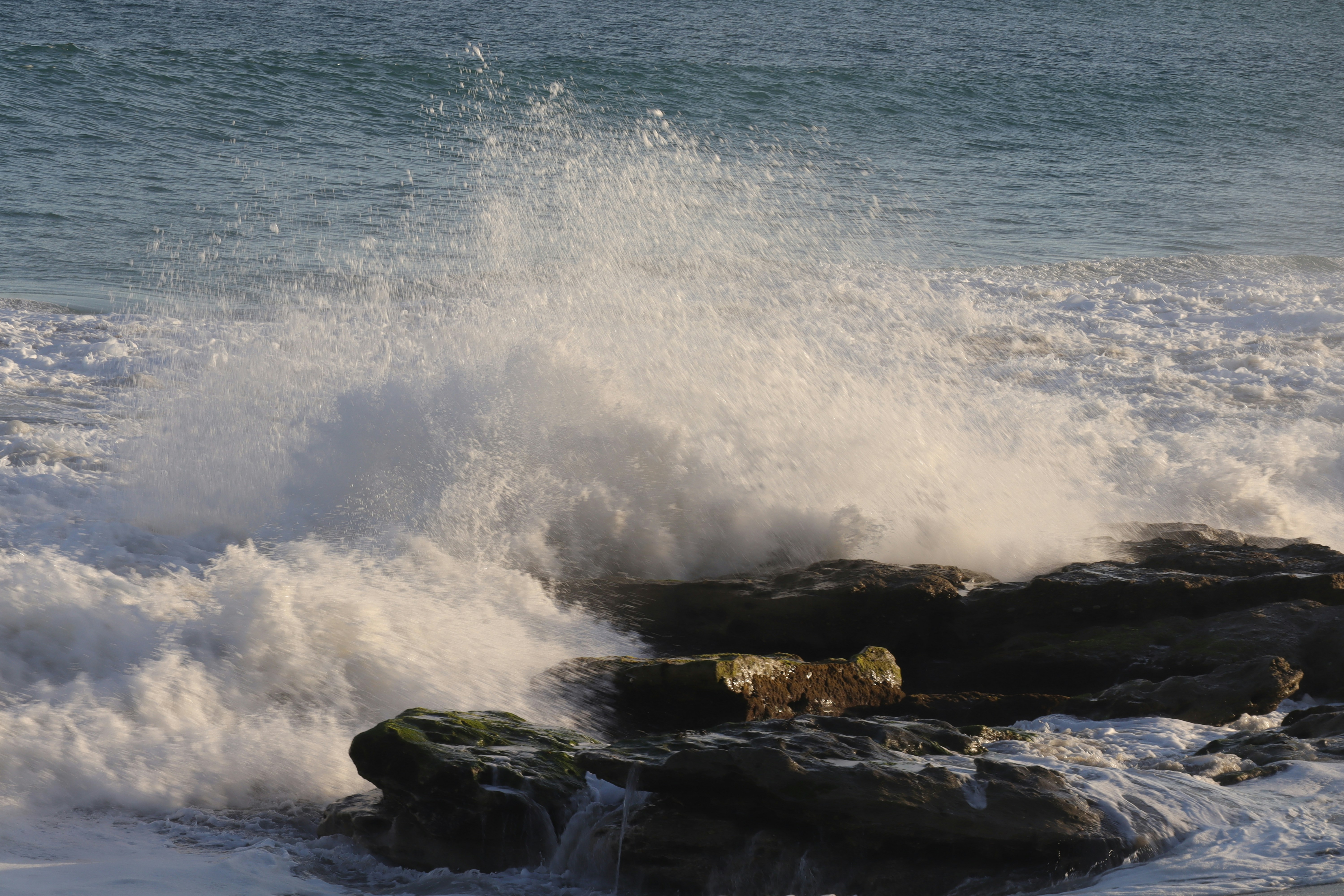 Photo by sebastian_hdz