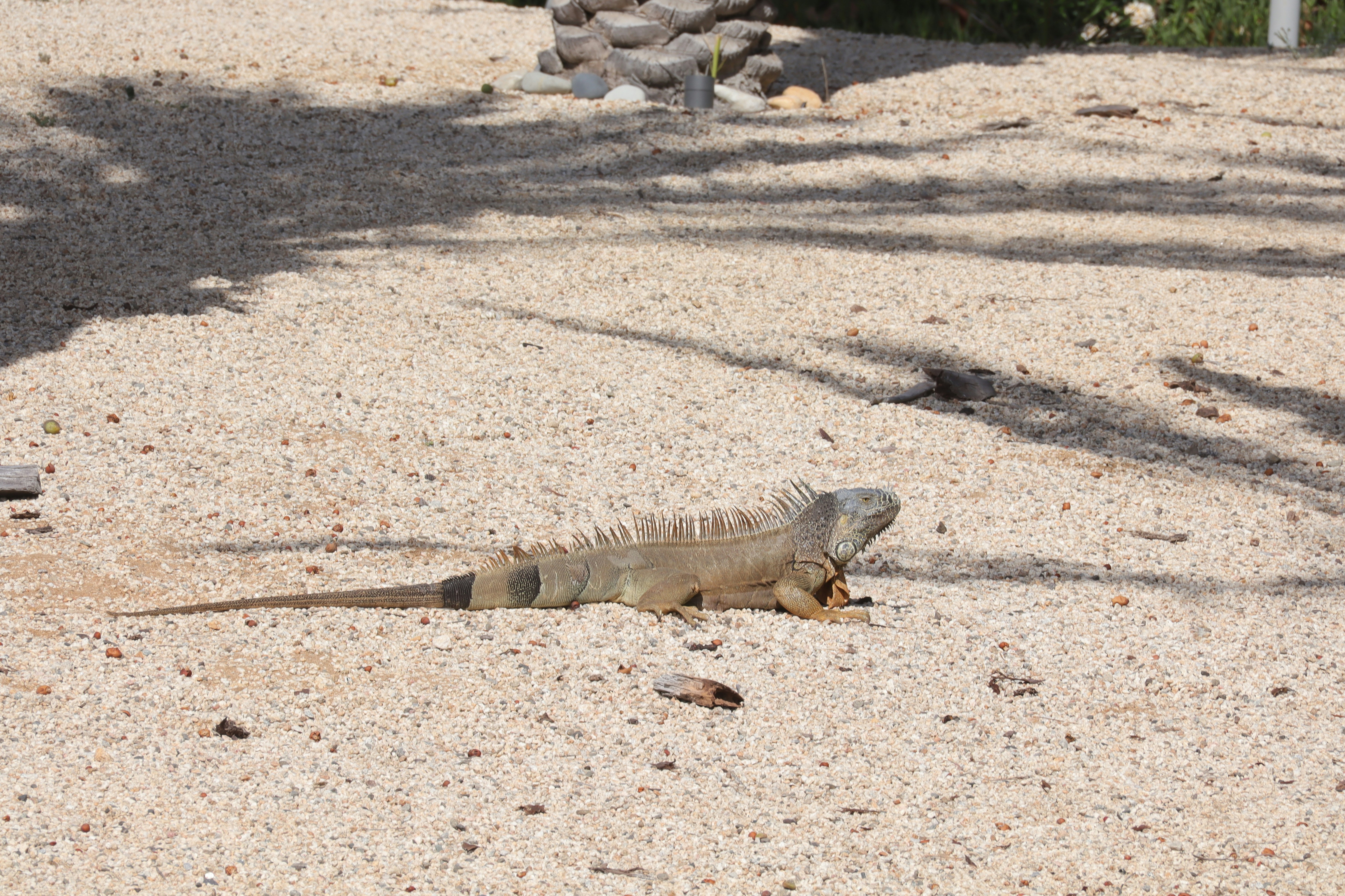 Photo by sebastian_hdz