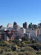 Buildings rise above the treetops in the city.