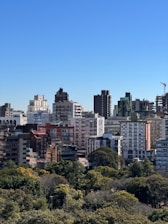 Buildings rise above the treetops in the city.