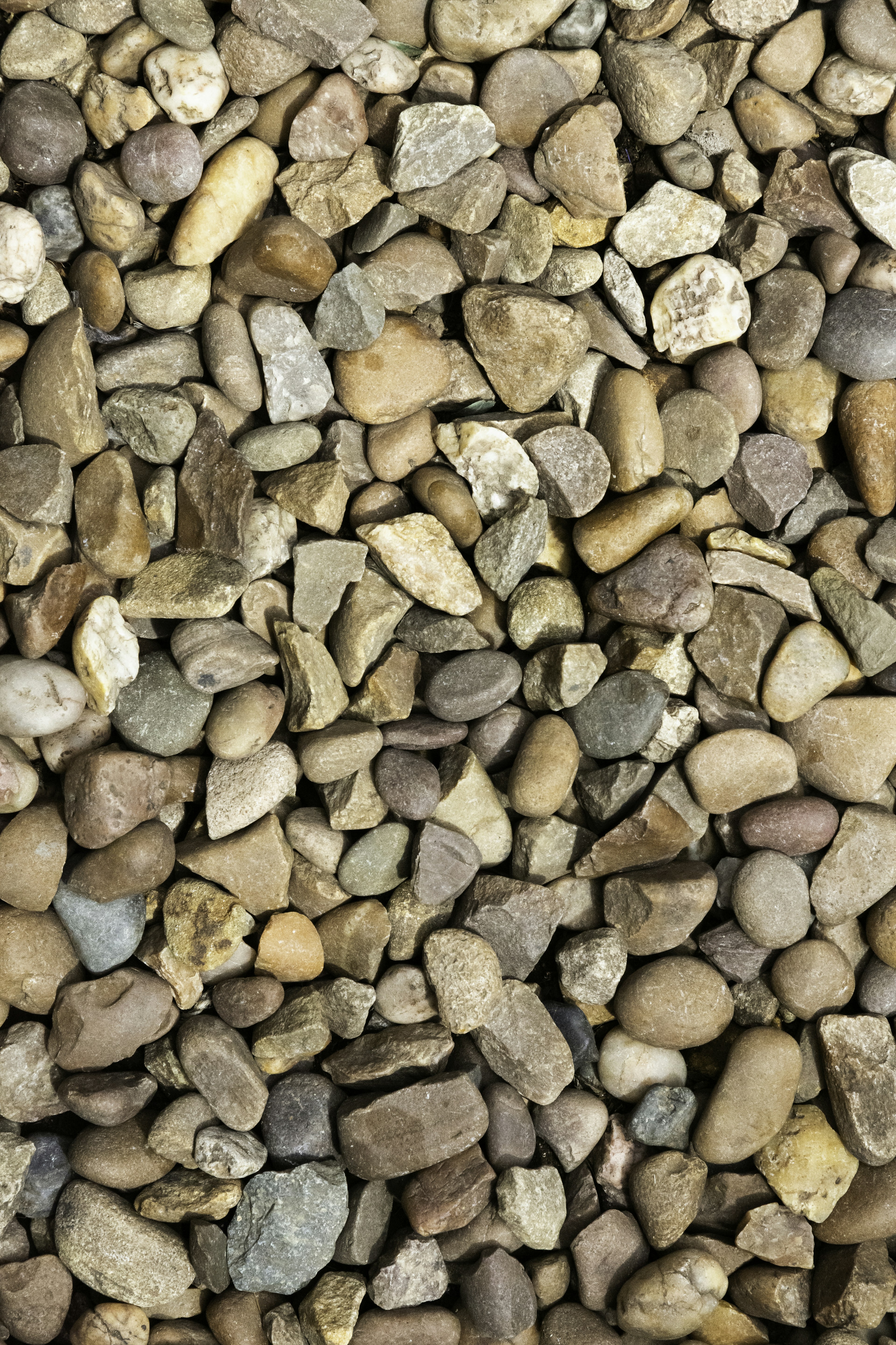 A close-up image of many smooth pebbles.