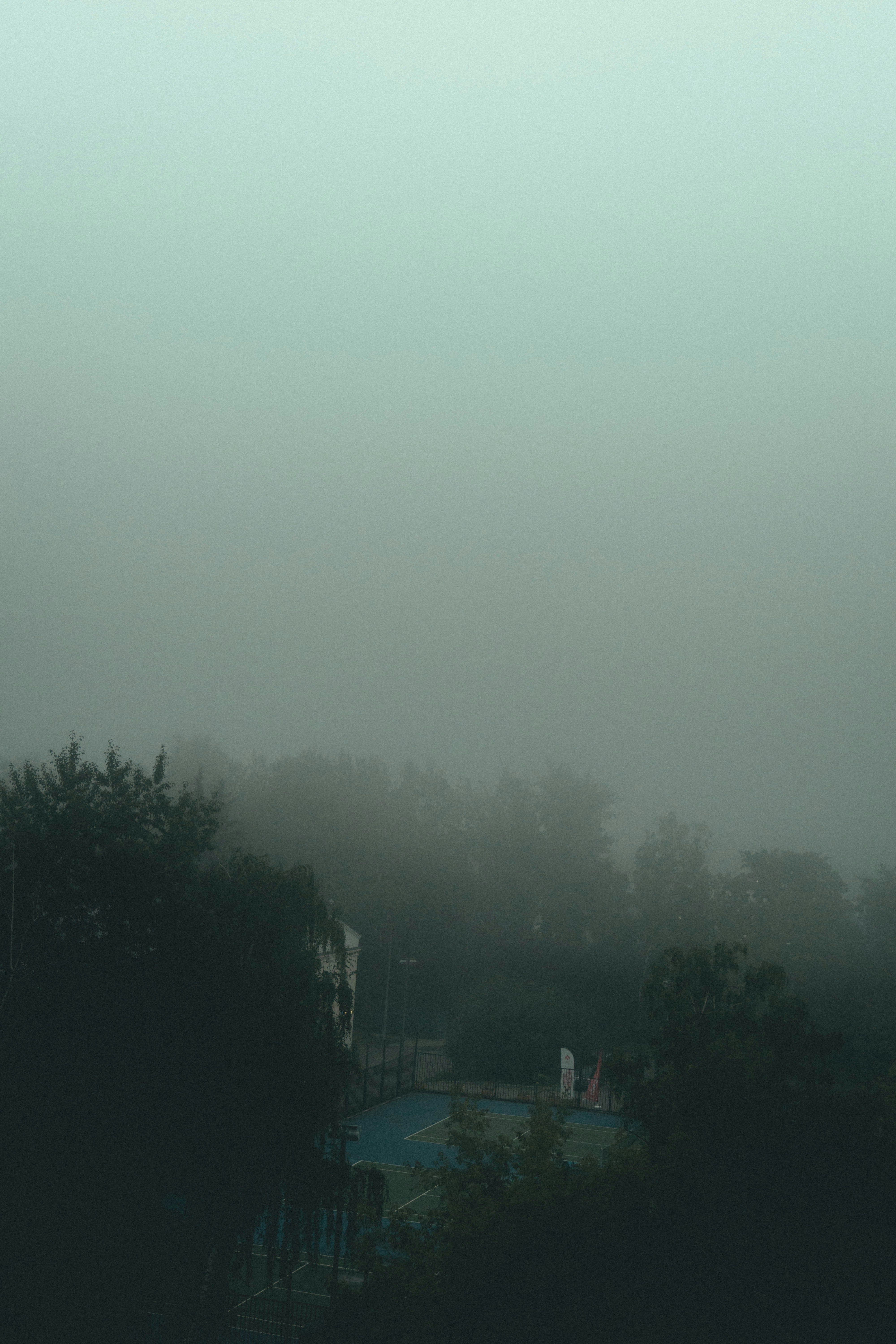 Fog shrouds a distant swimming pool and trees.