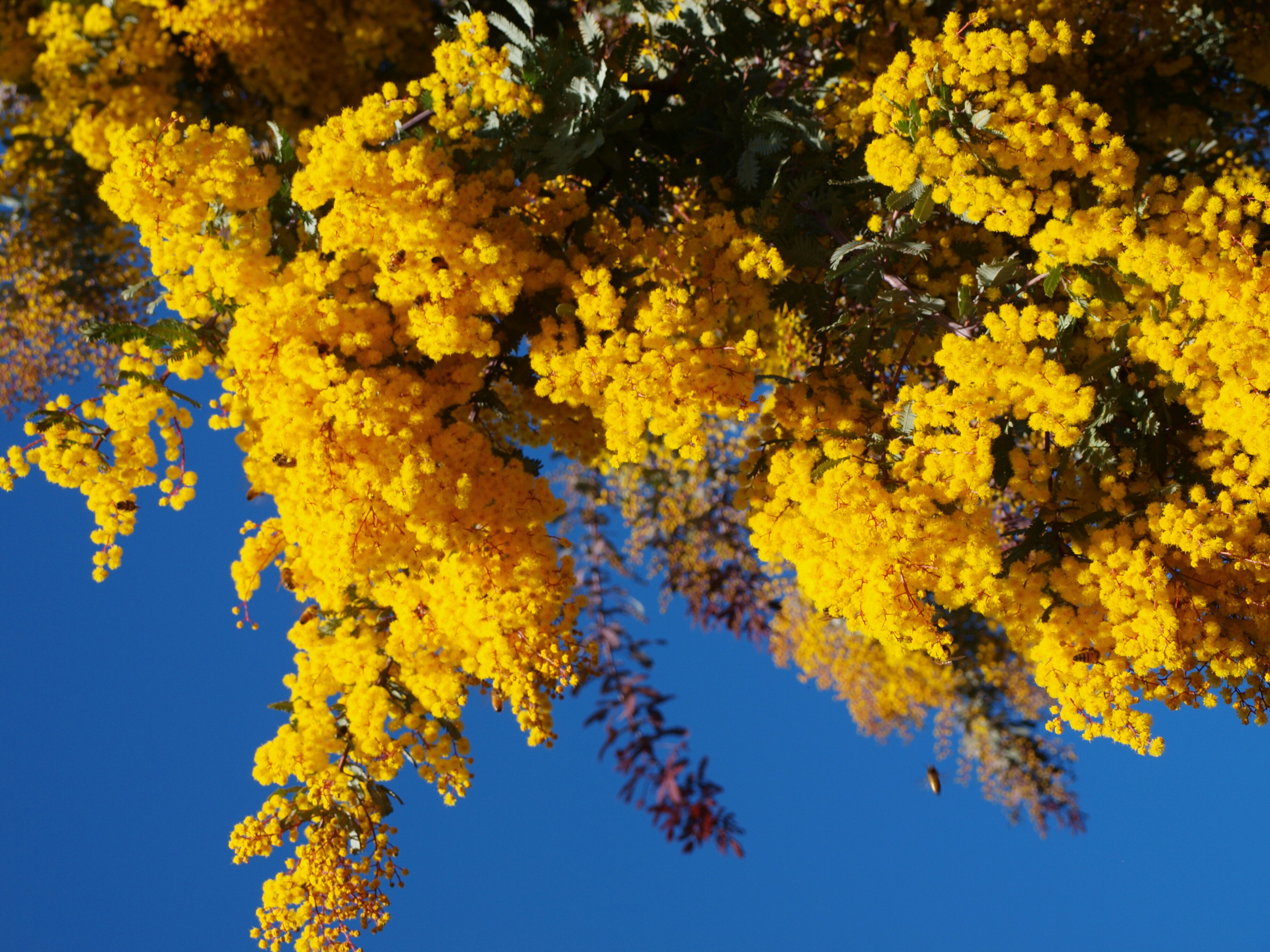 Photo by lutruwita_exposure