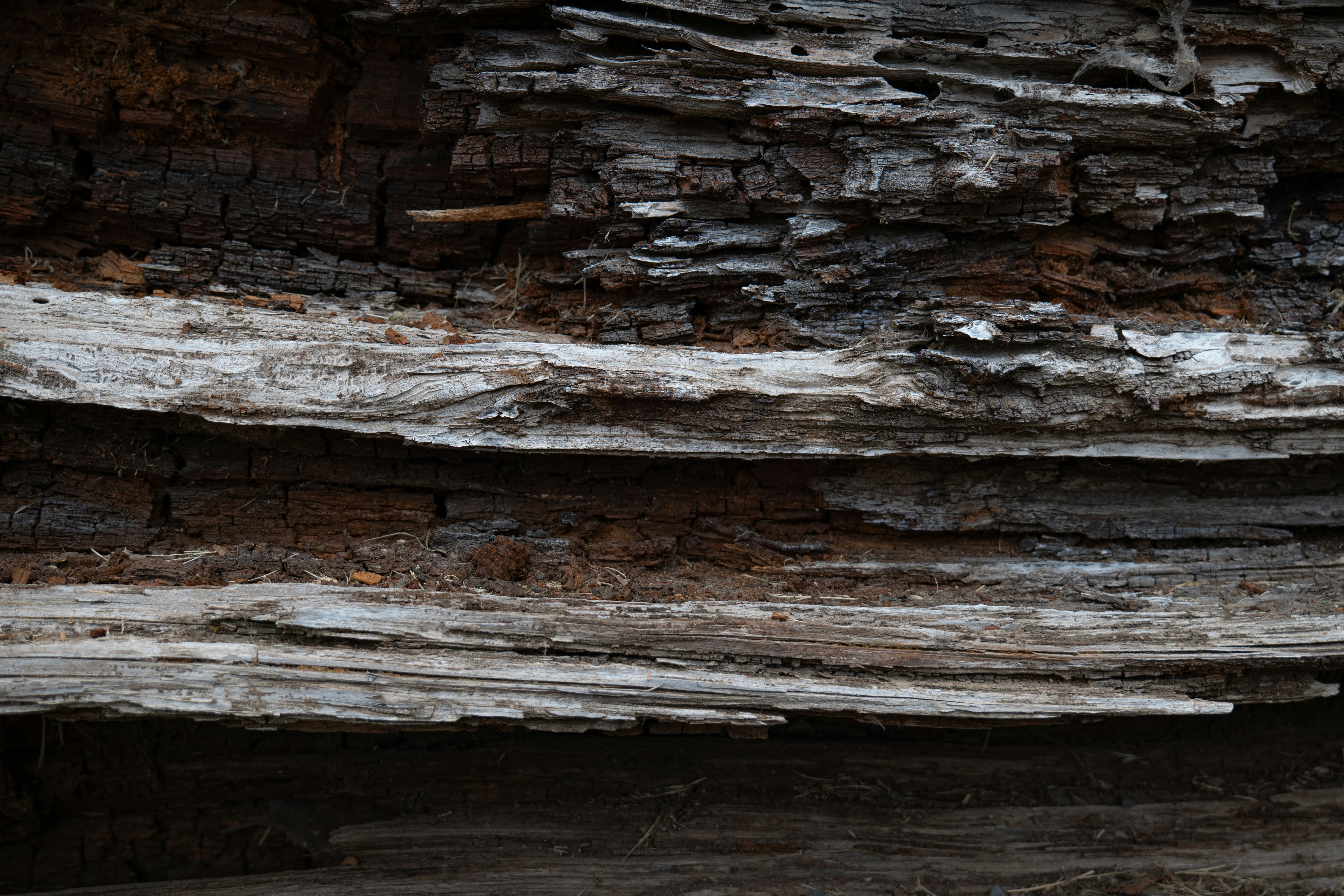 wood texture wallpaper, wallpaper, Wood Texture Nursery Organization: Stylish & Functional 5