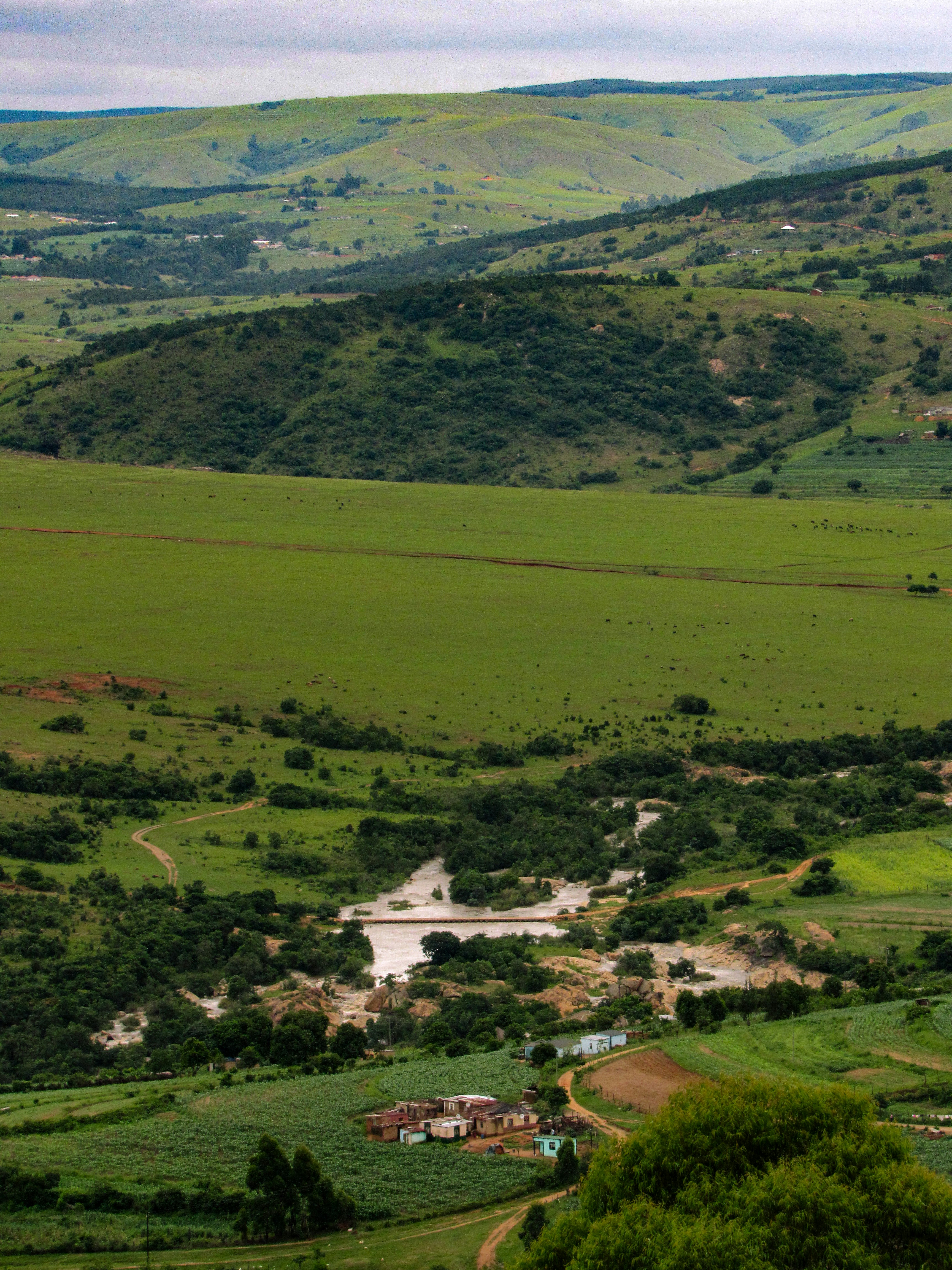 Photo by proudlyswazi_free