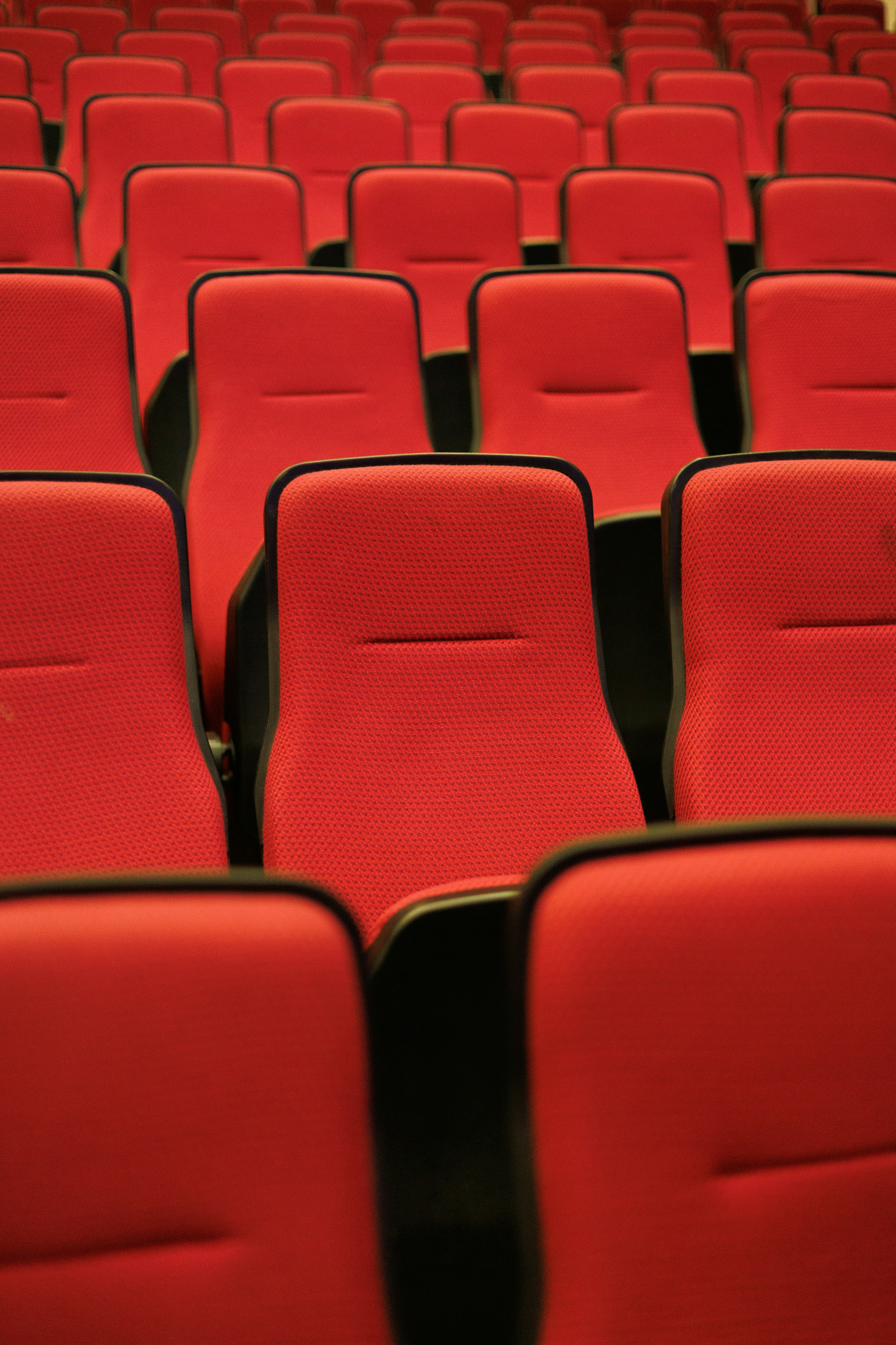 Photo by 1hundredimages