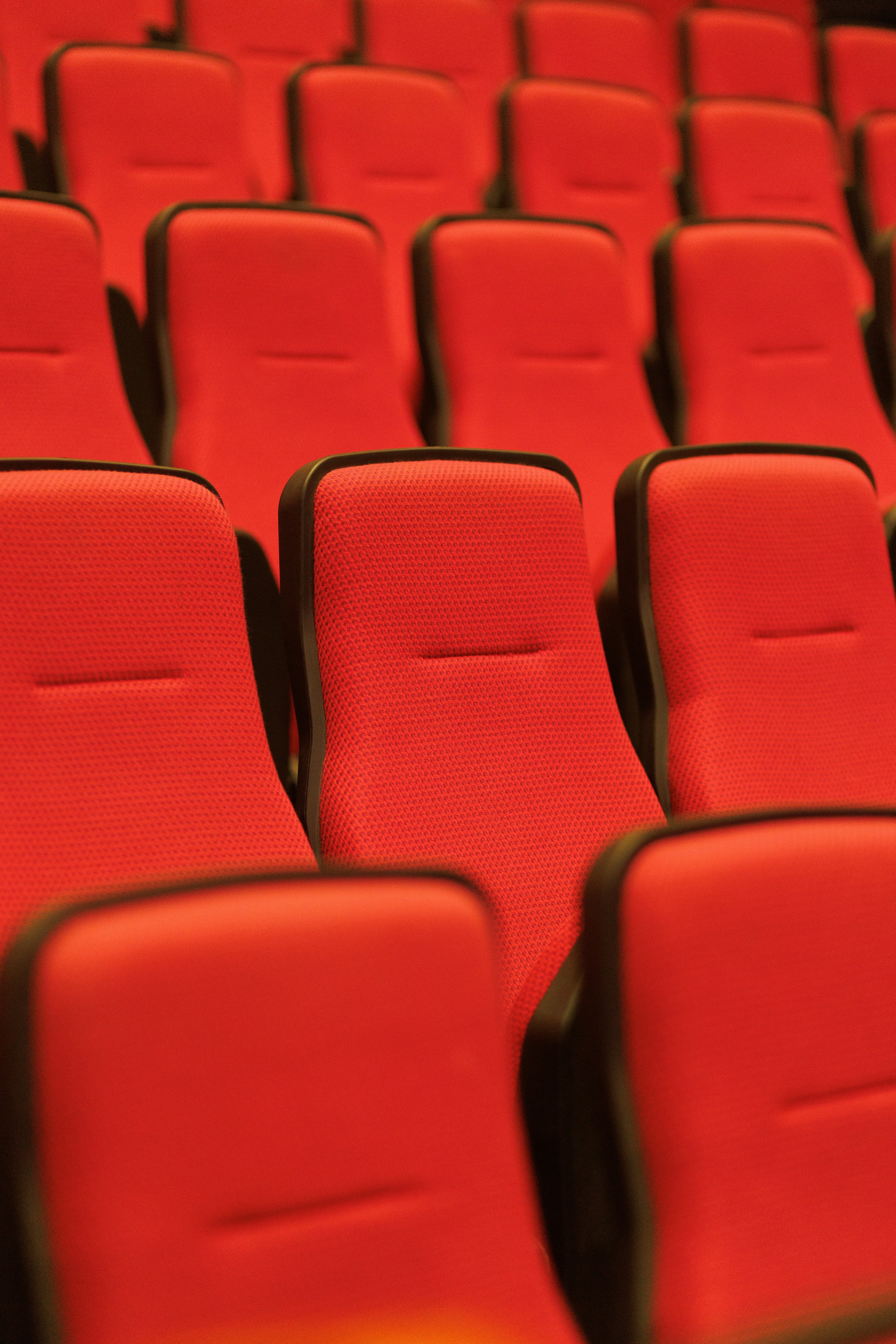 Photo by 1hundredimages