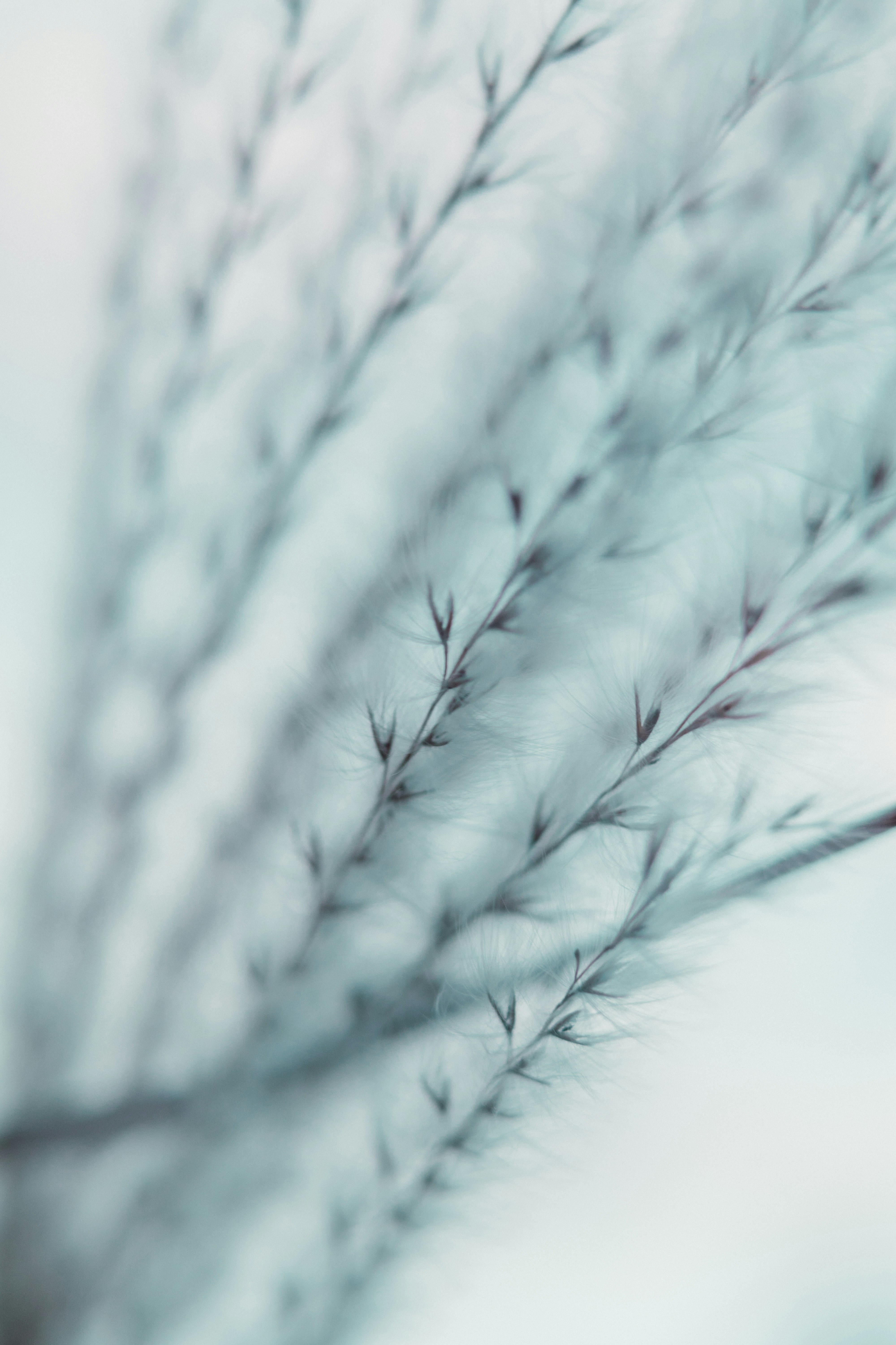 Photo by anamnesis33