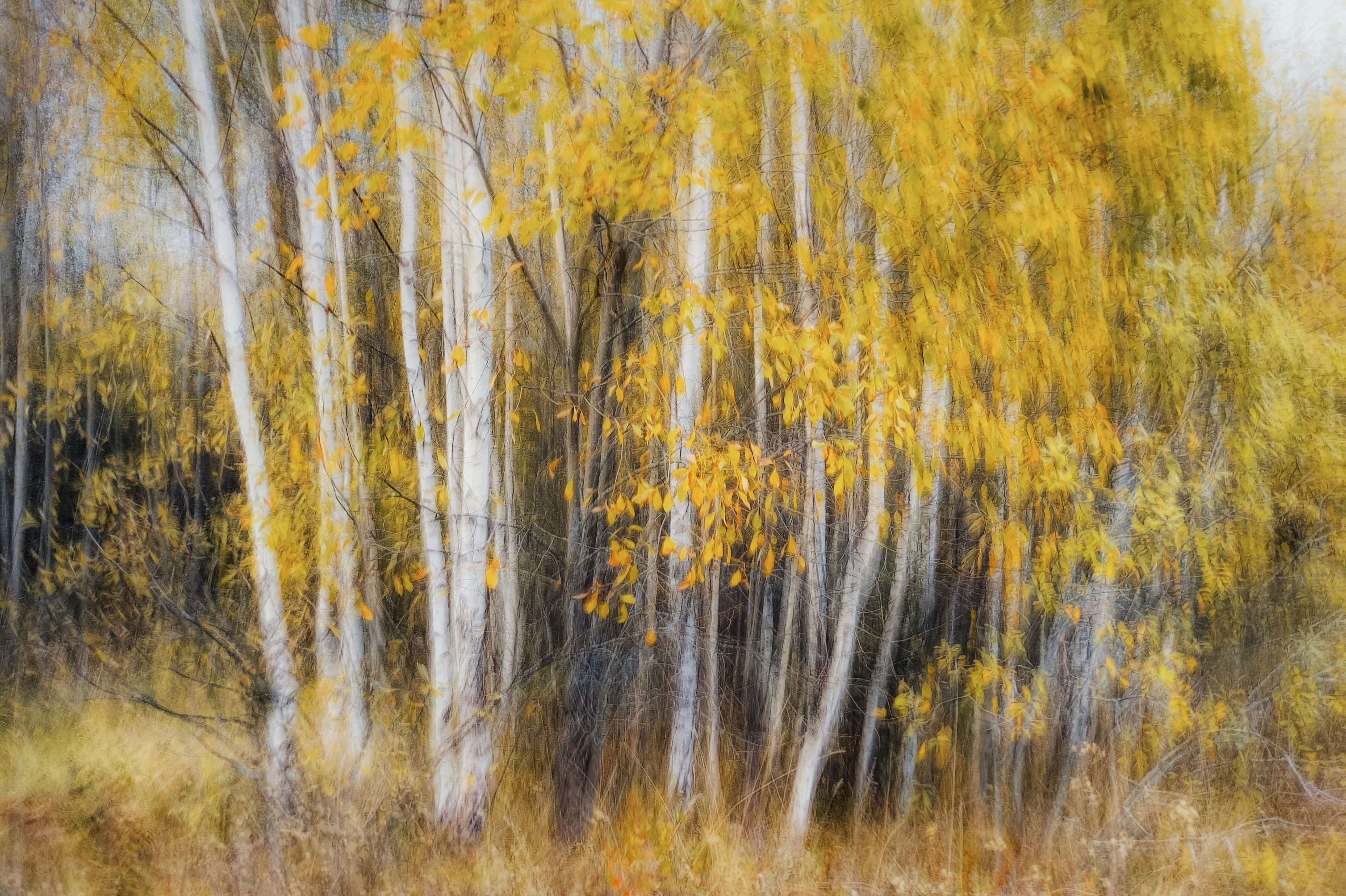 Photo by eugene_golovesov