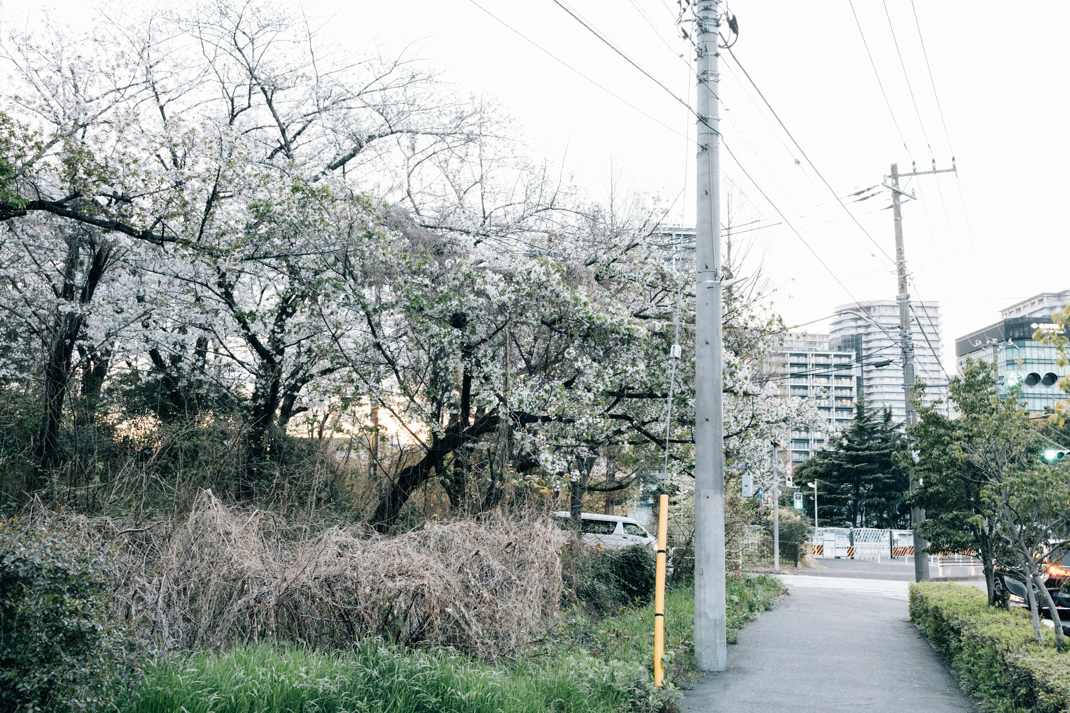 Photo by tsuyoshikozu