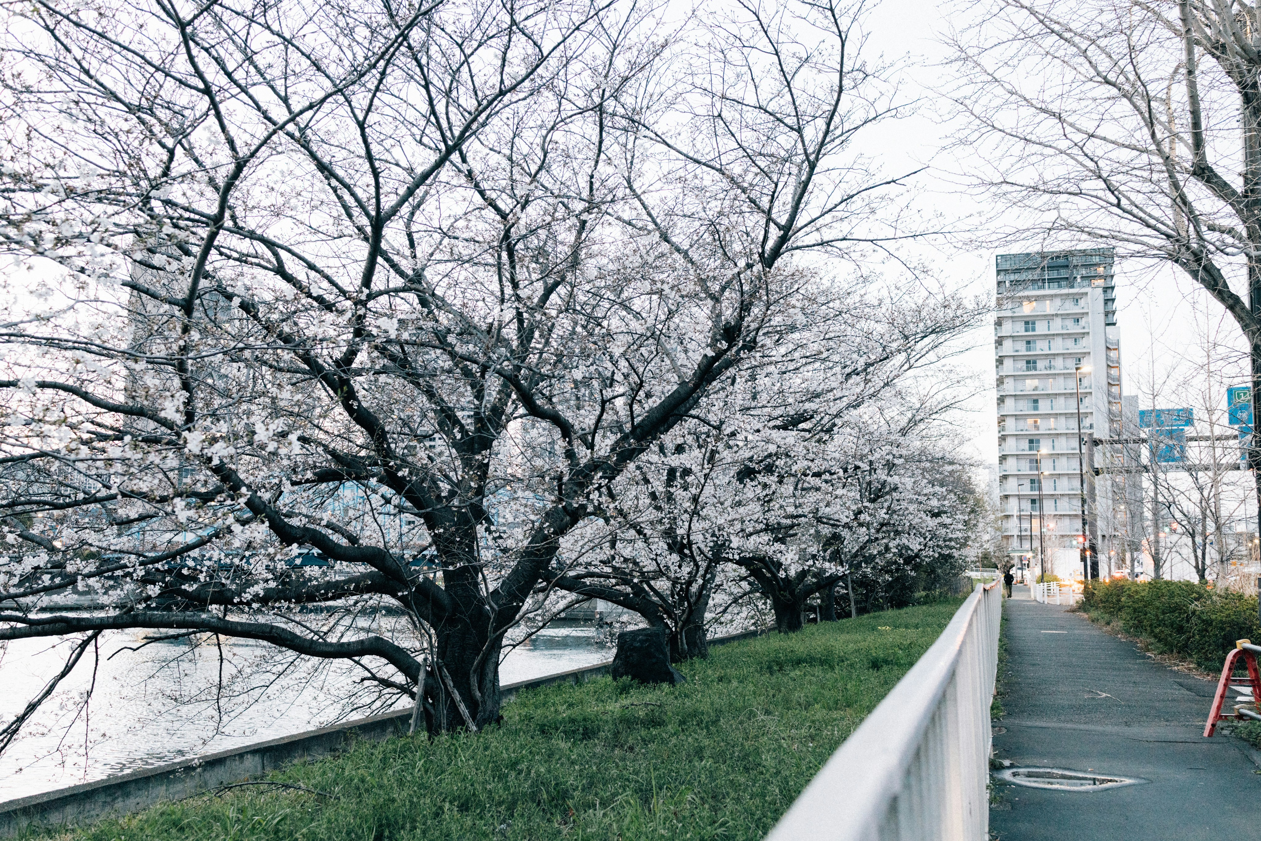 Photo by tsuyoshikozu