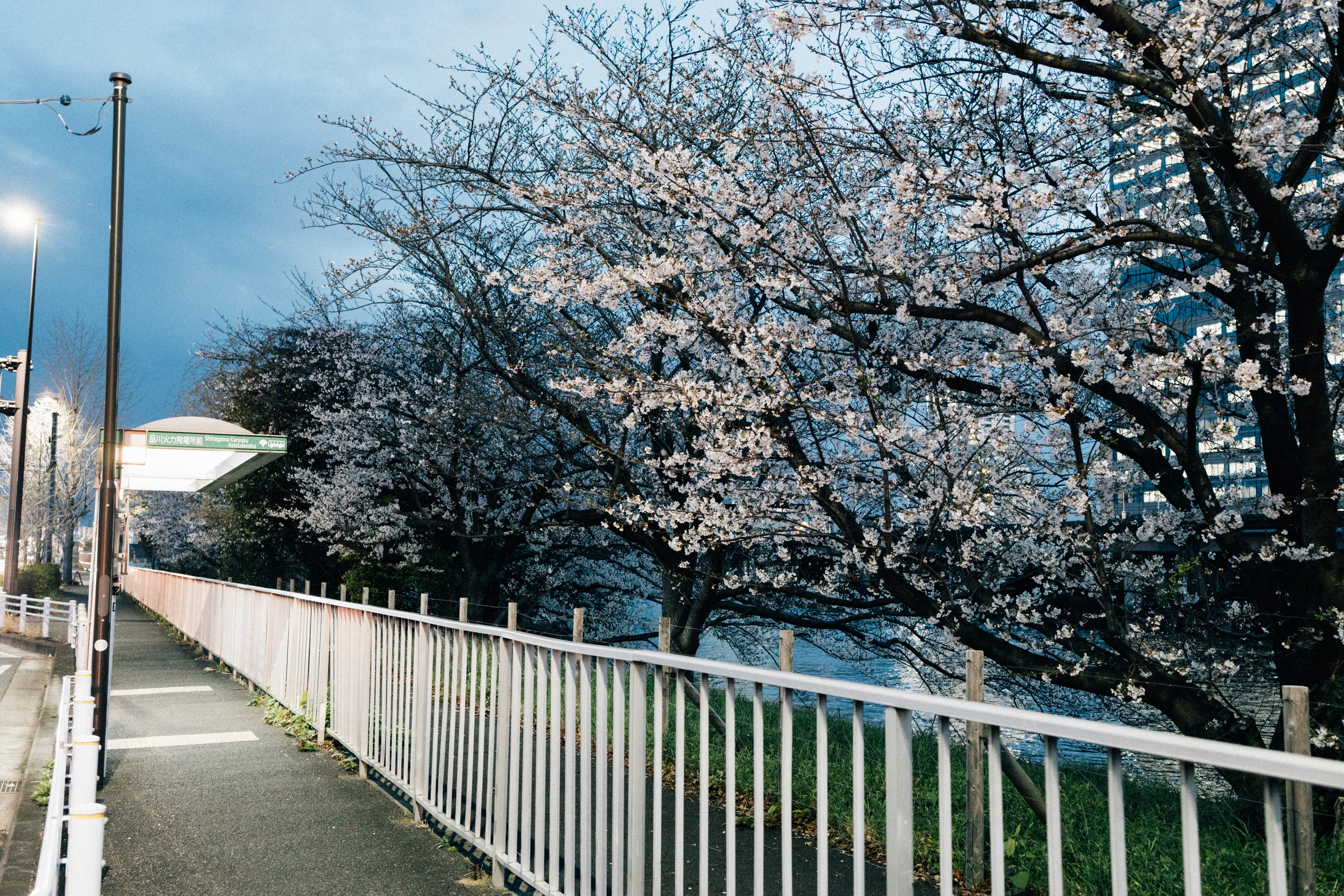 Photo by tsuyoshikozu