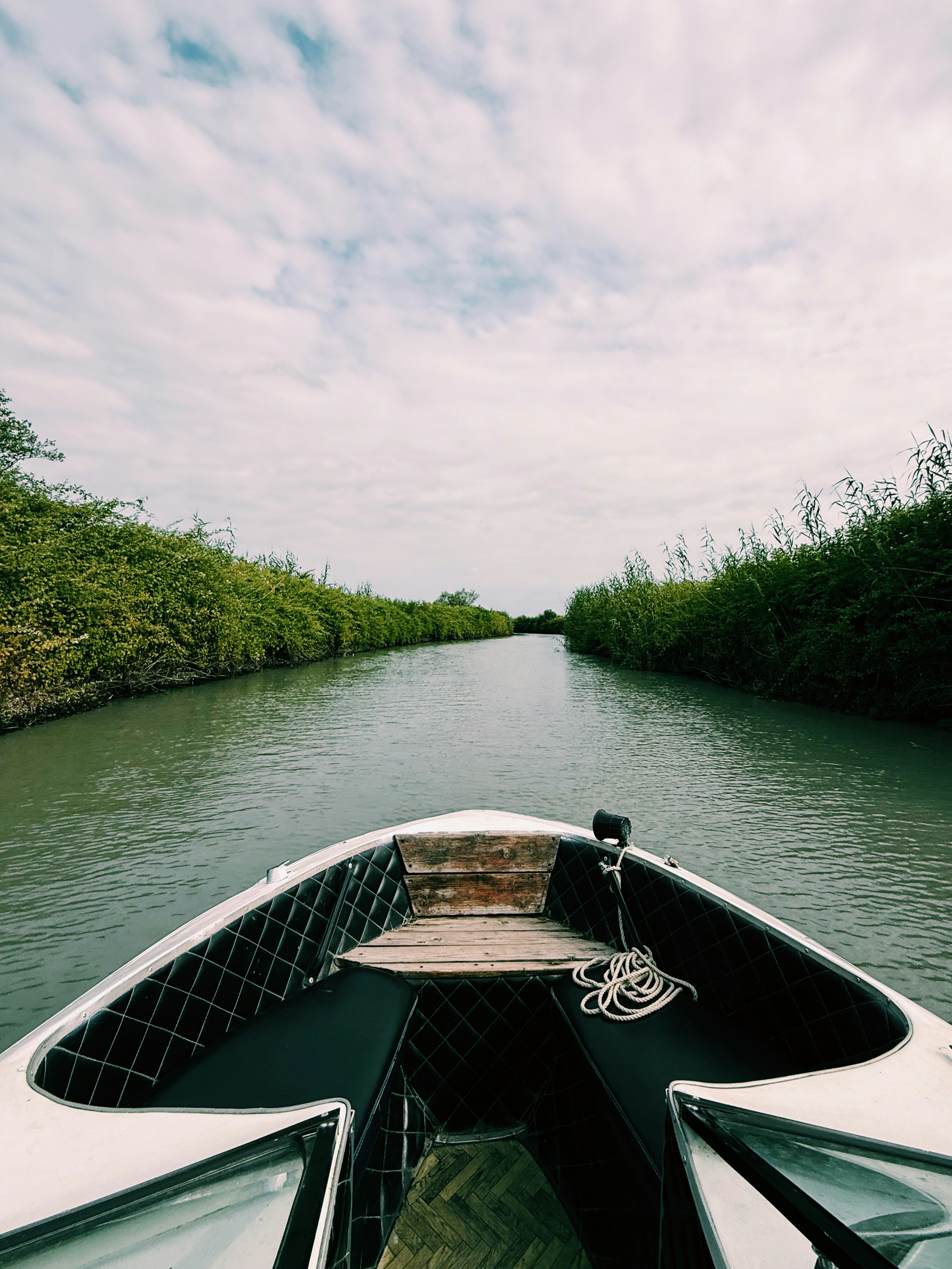 Paseos en bote a través de una vía fluvial estrecha y exuberante.